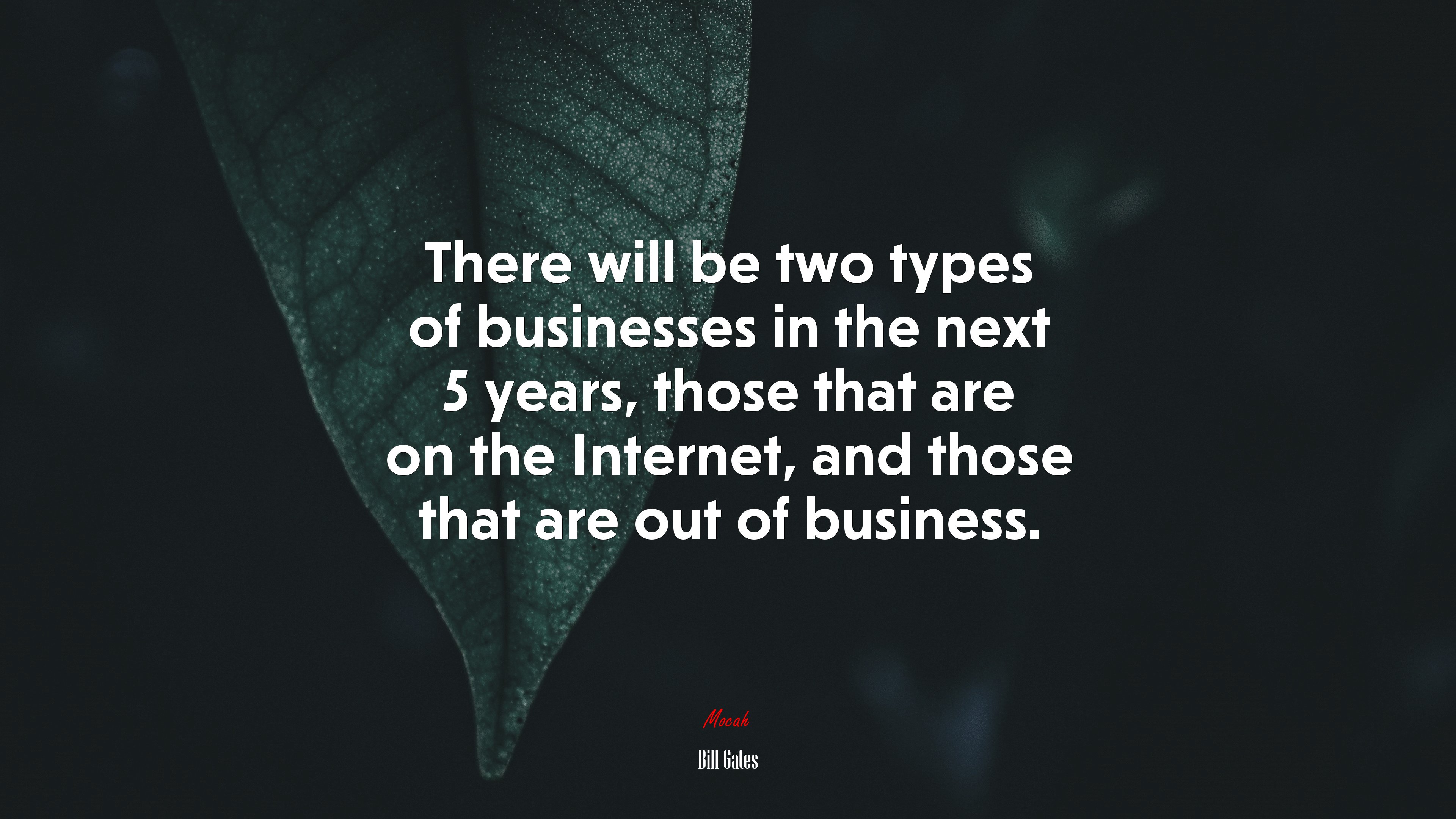 There will be two types of businesses in the next 5 years, those that are on the Internet, and those that are out of business. | Bill Gates quote HD Wallpaper