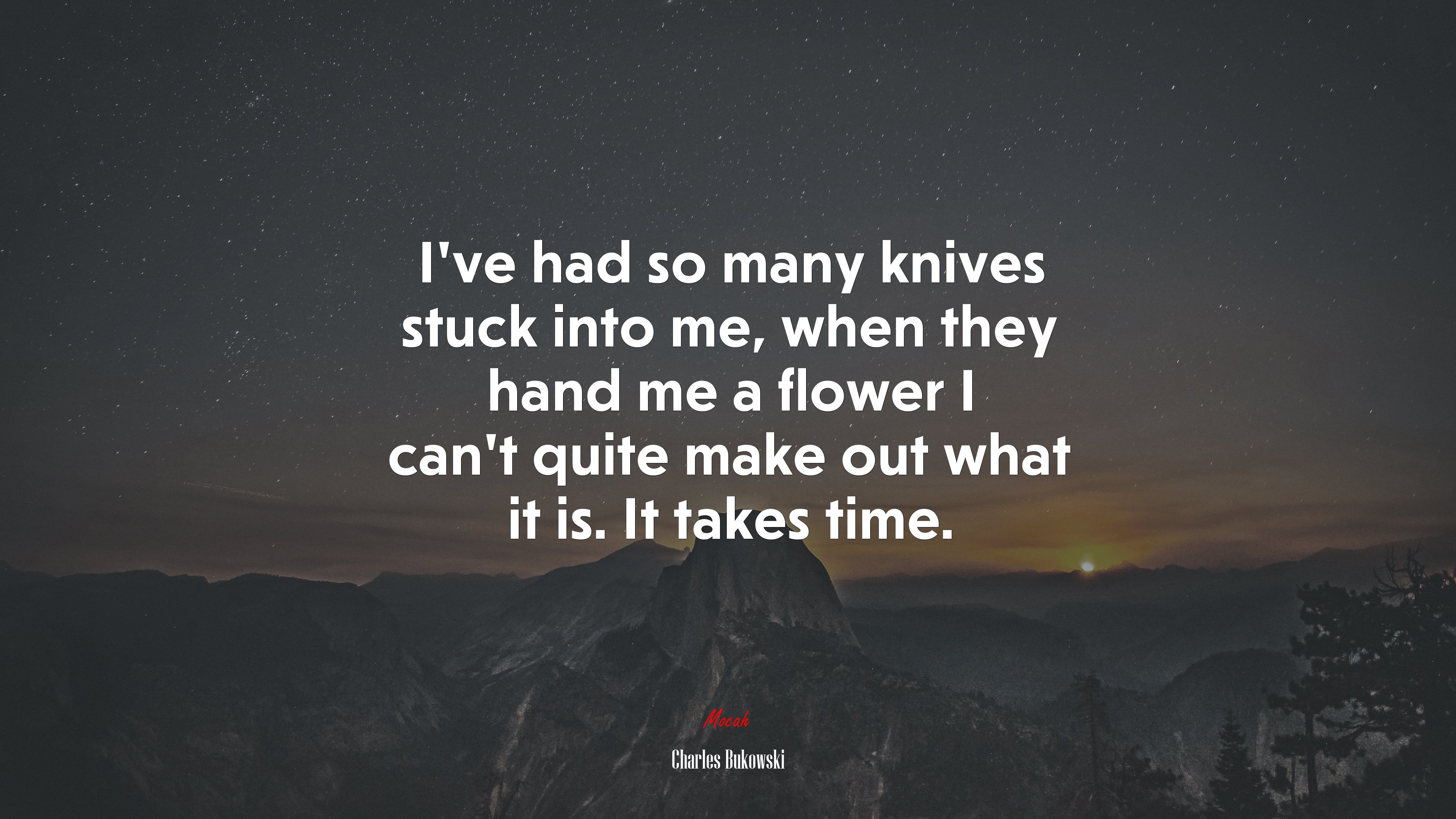 I’ve had so many knives stuck into me, when they hand me a flower I can’t quite make out what it is. It takes time. | Charles Bukowski quote HD Wallpaper