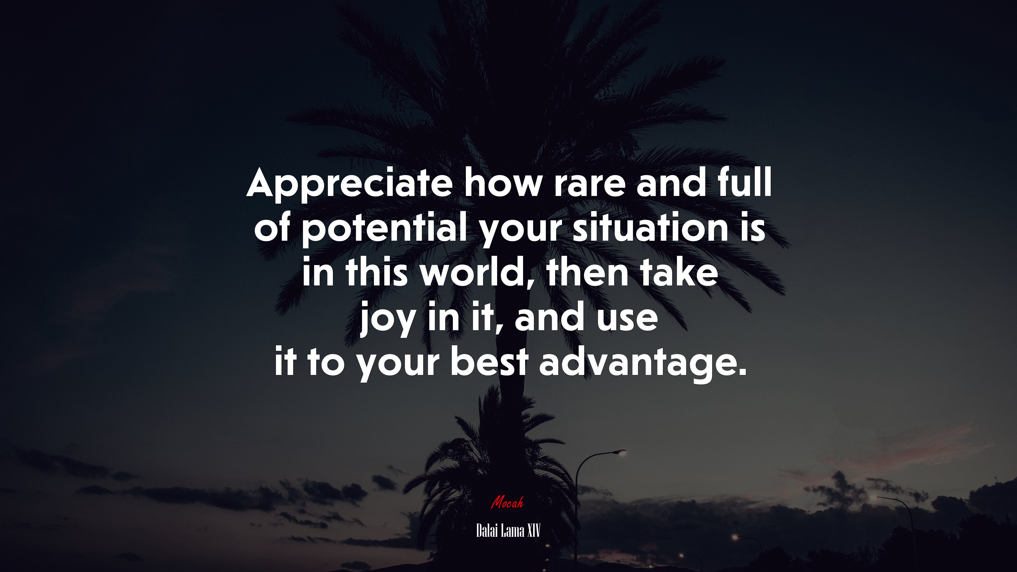 Appreciate how rare and full of potential your situation is in this world, then take joy in it, and use it to your best advantage. | Dalai Lama XIV quote HD Wallpaper