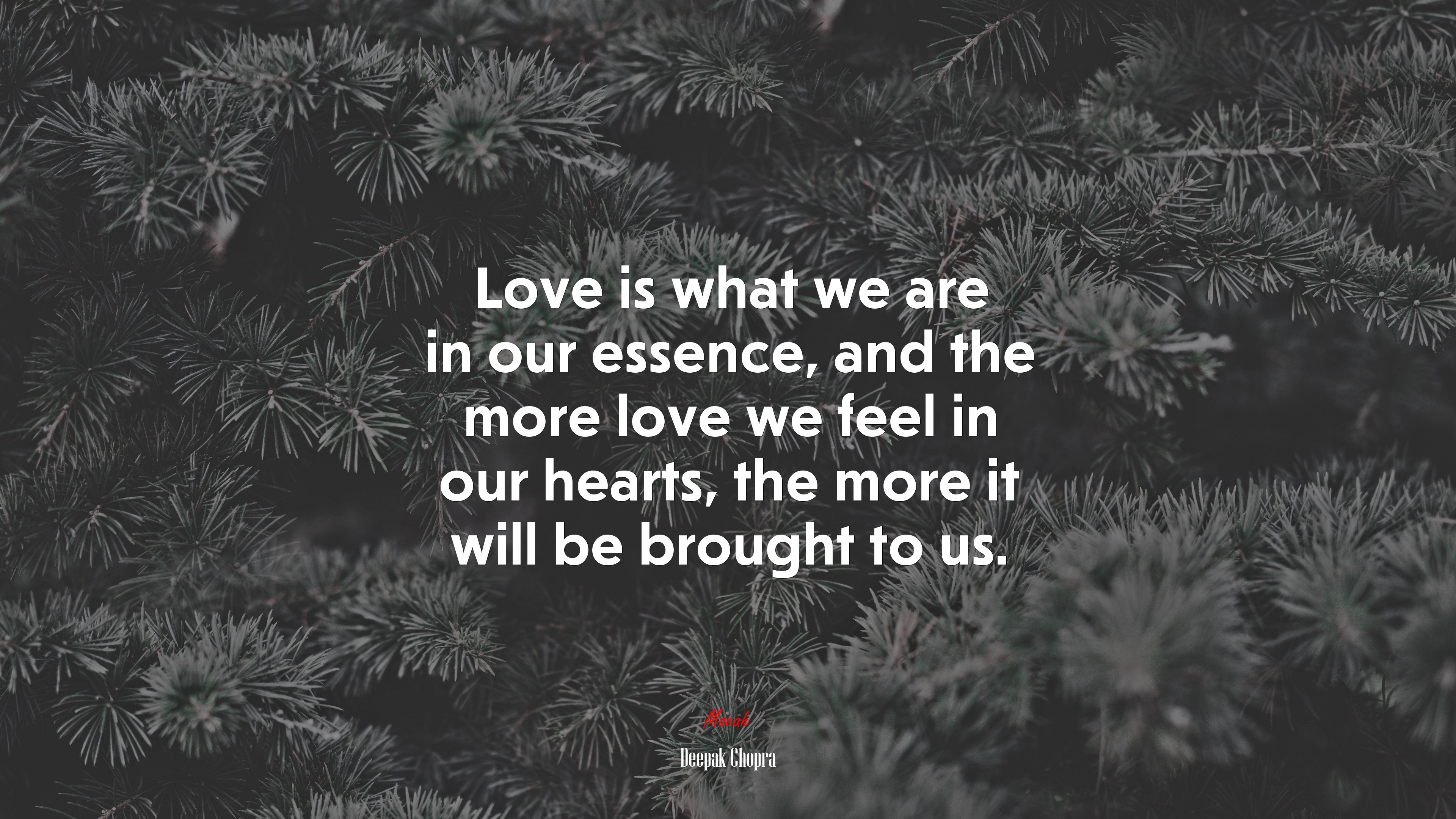 Love is what we are in our essence, and the more love we feel in our hearts, the more it will be brought to us. | Deepak Chopra quote HD Wallpaper