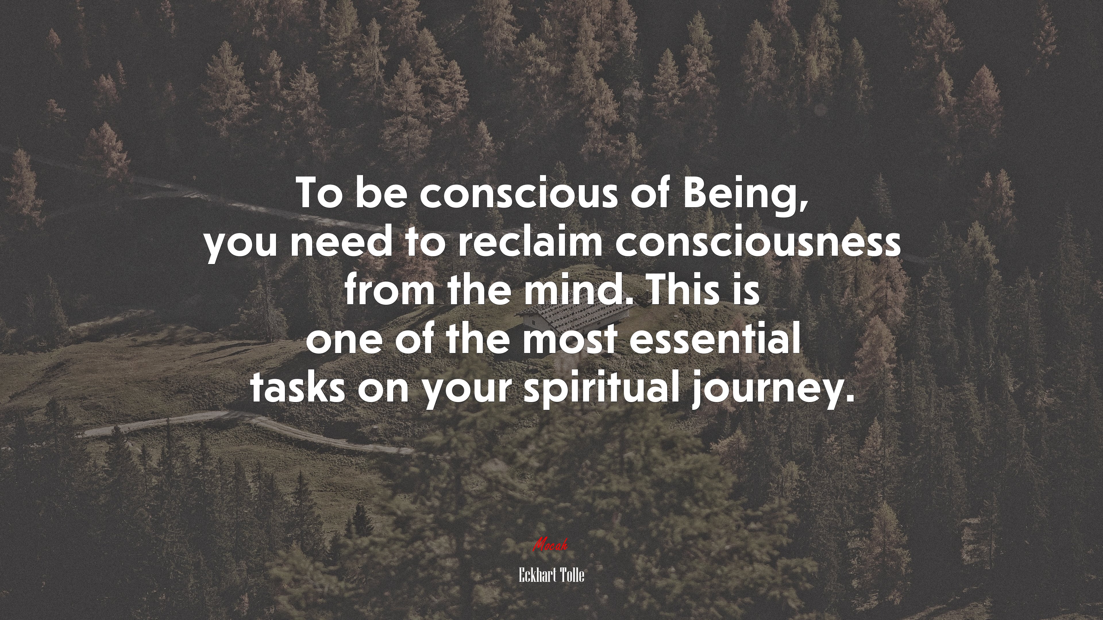 To be conscious of Being, you need to reclaim consciousness from the mind. This is one of the most essential tasks on your spiritual journey. | Eckhart Tolle quote HD Wallpaper