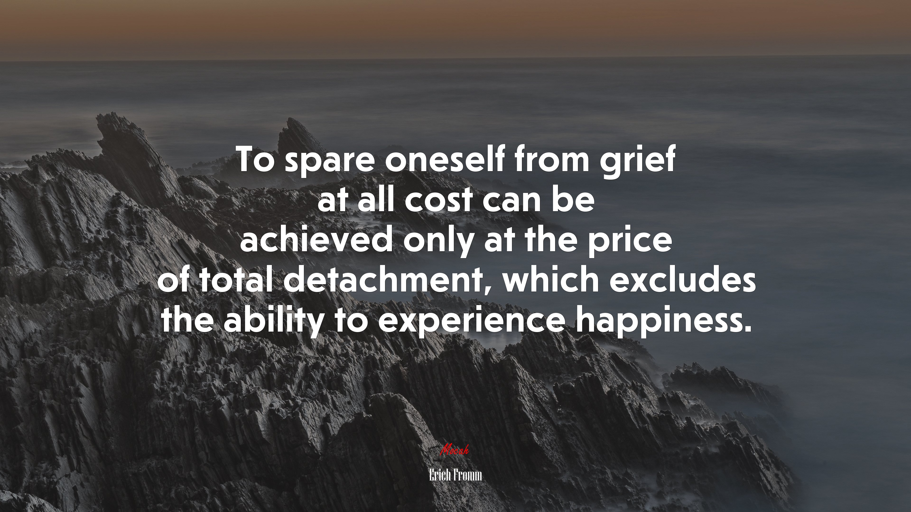 To spare oneself from grief at all cost can be achieved only at the price of total detachment, which excludes the ability to experience happiness. | Erich Fromm quote HD Wallpaper