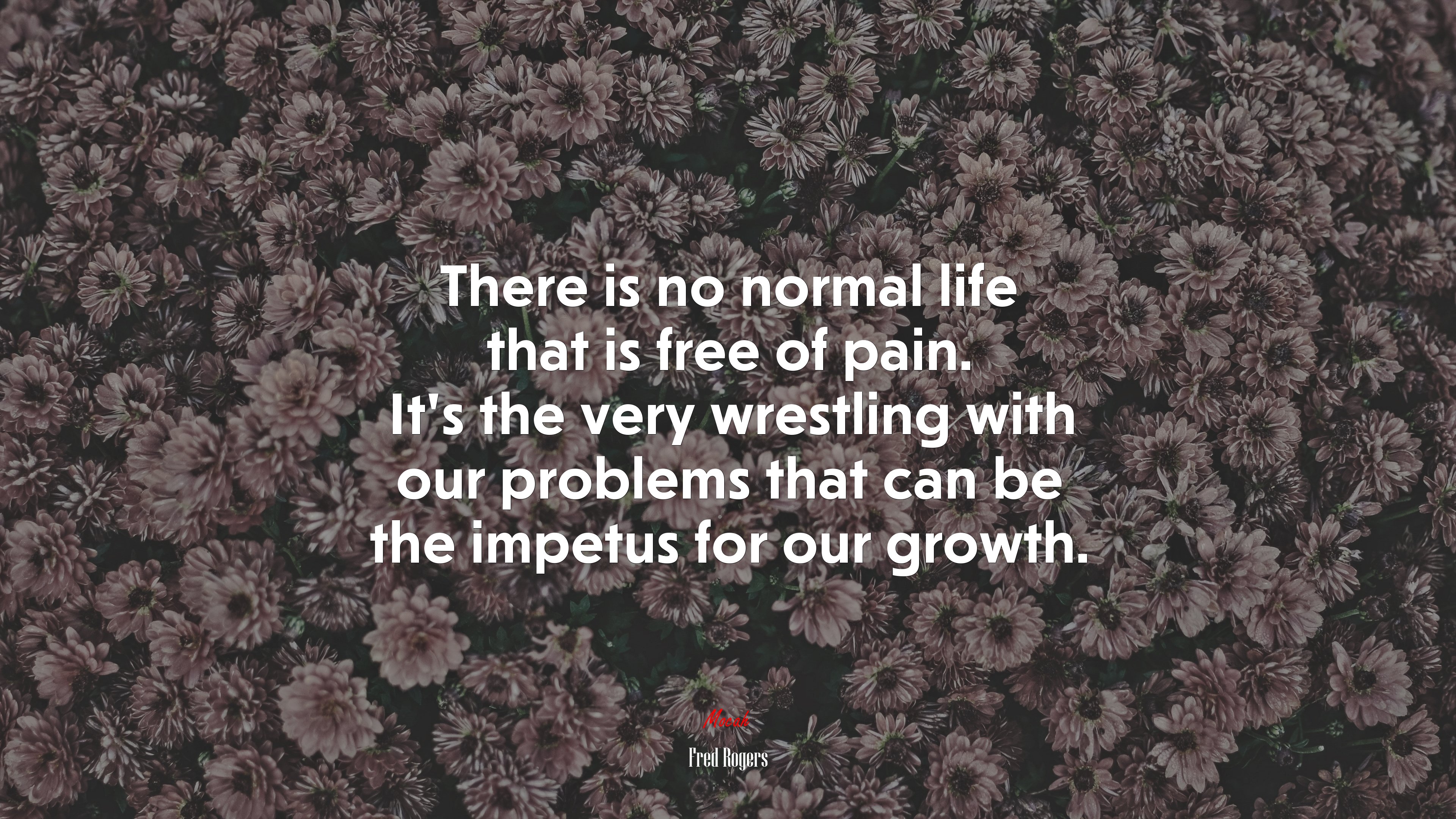 There is no normal life that is free of pain. It’s the very wrestling with our problems that can be the impetus for our growth. | Fred Rogers quote HD Wallpaper