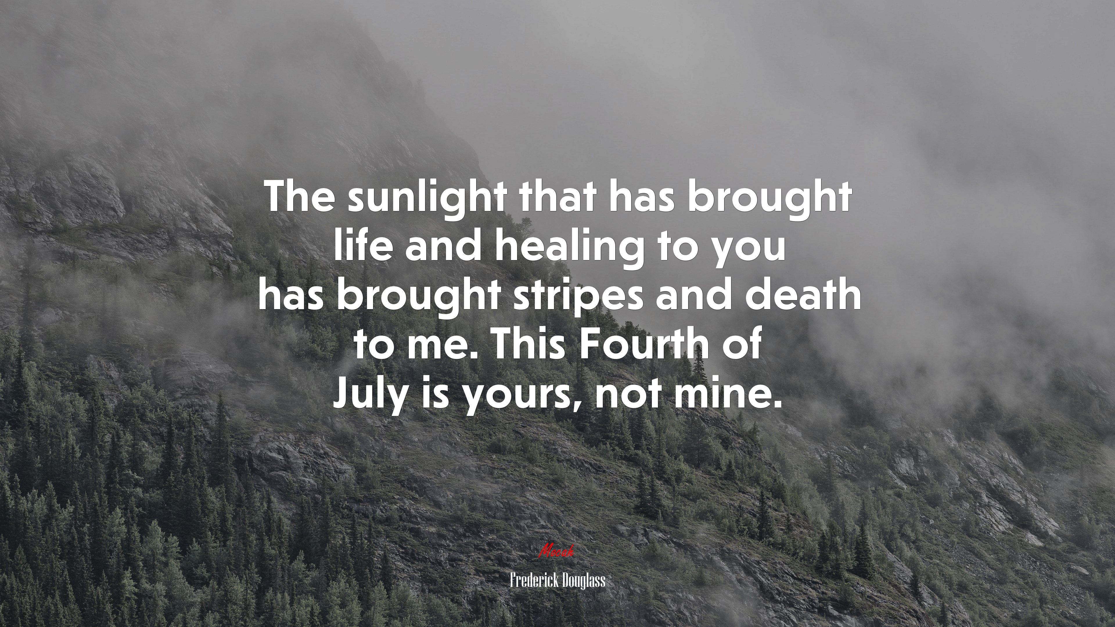 The sunlight that has brought life and healing to you has brought stripes and death to me. This Fourth of July is yours, not mine. | Frederick Douglass quote HD Wallpaper