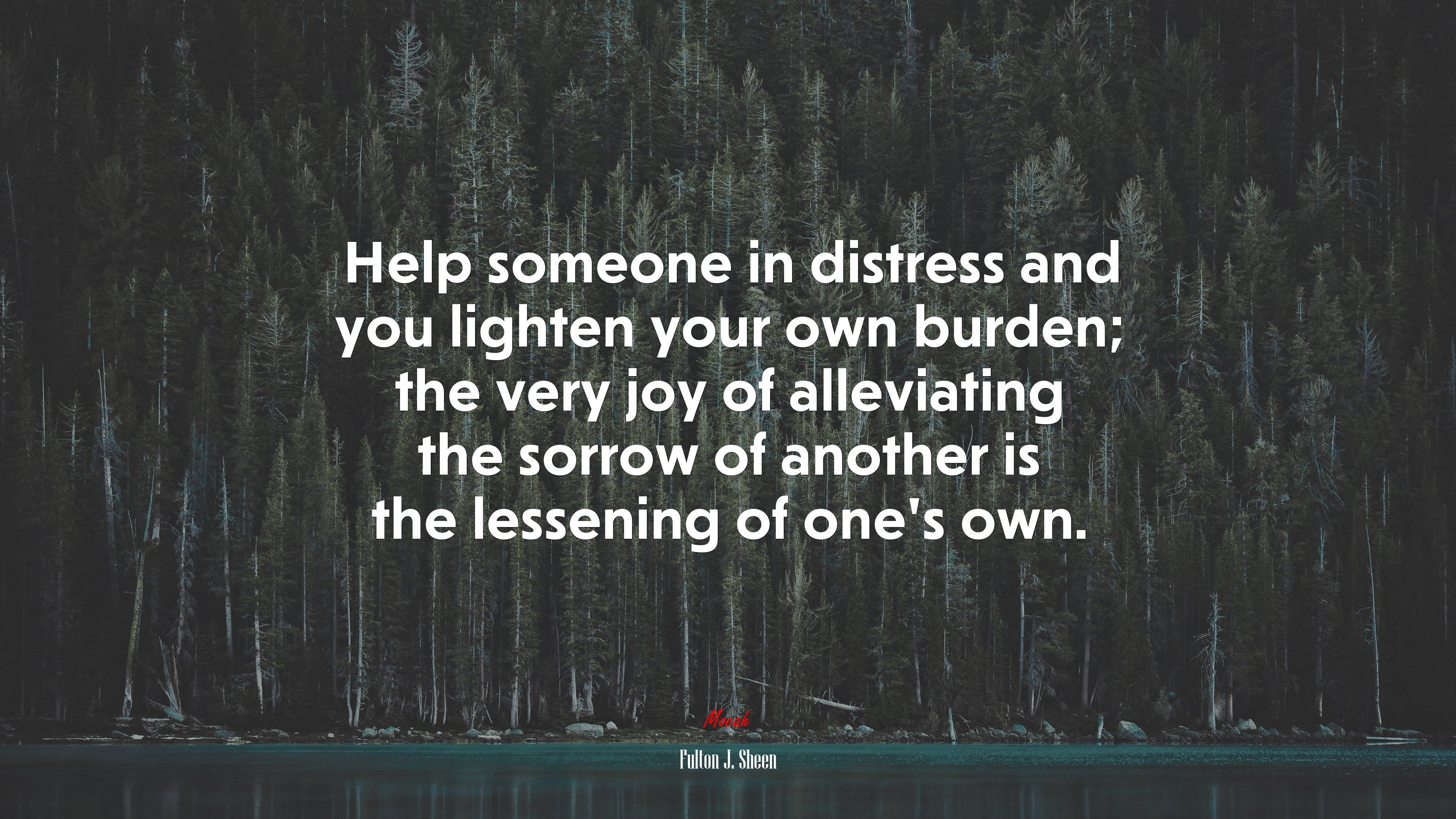Help someone in distress and you lighten your own burden; the very joy of alleviating the sorrow of another is the lessening of one’s own. | Fulton J. Sheen quote HD Wallpaper