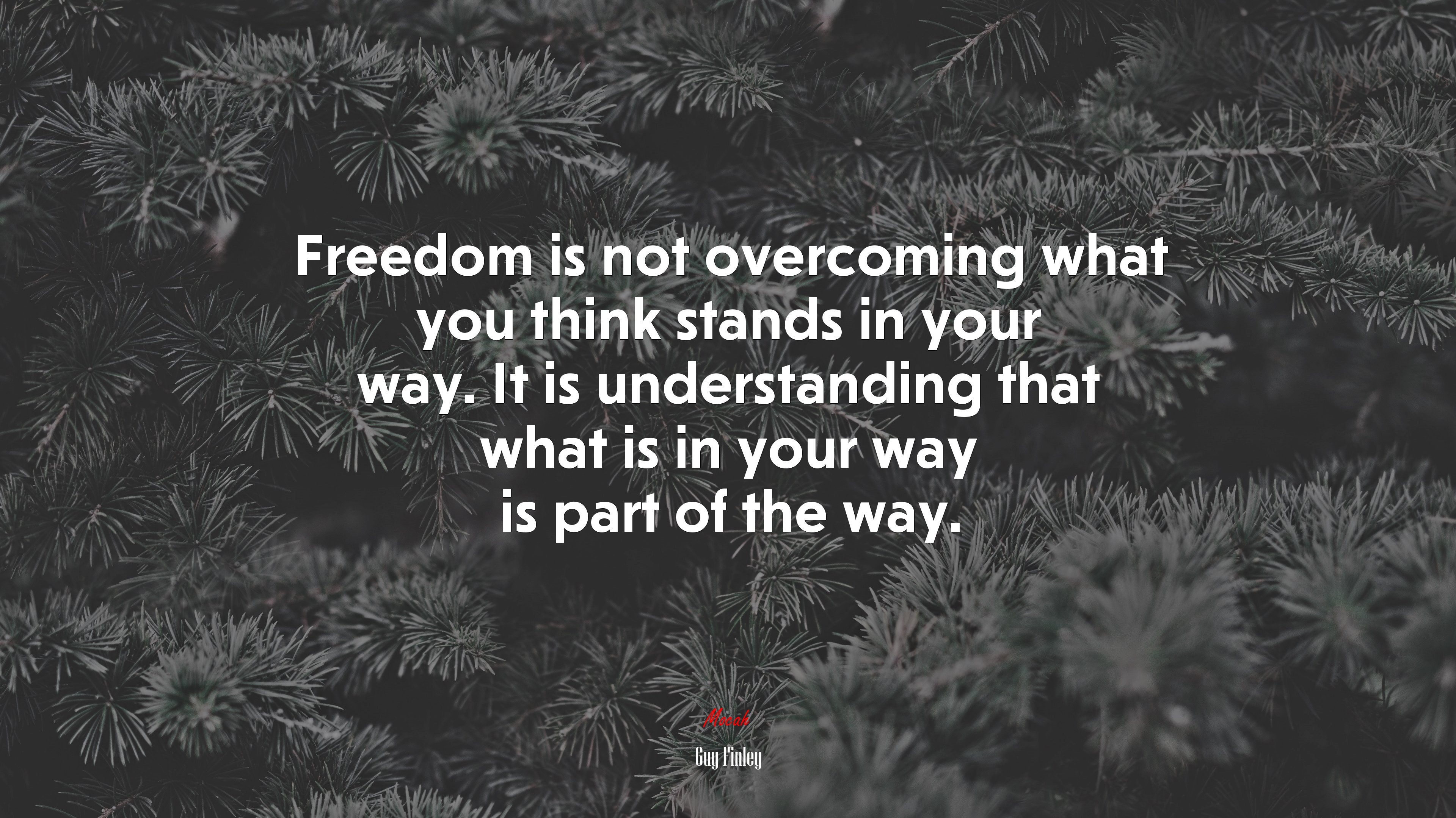 Freedom is not overcoming what you think stands in your way. It is understanding that what is in your way is part of the way. | Guy Finley quote HD Wallpaper