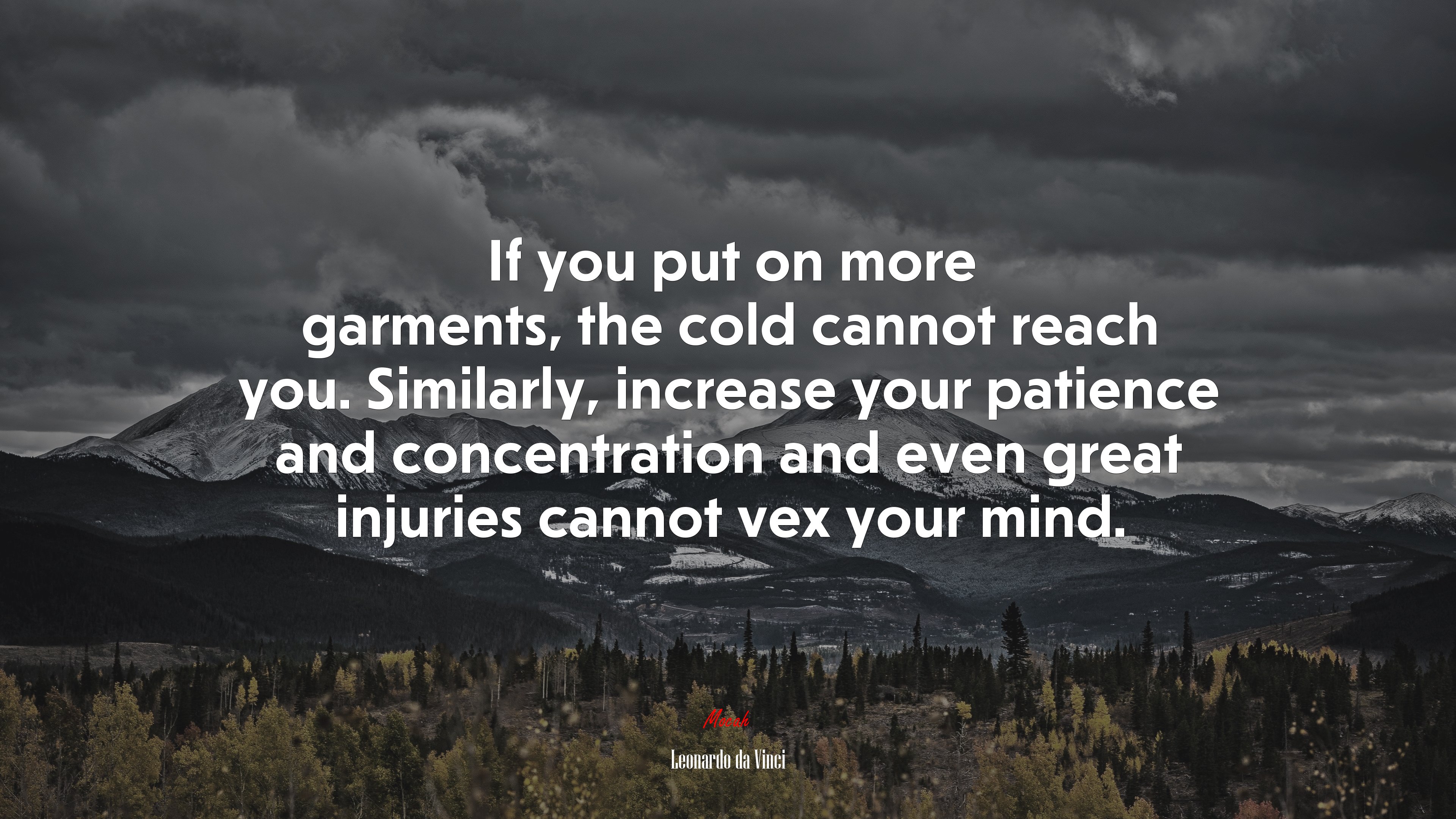 If you put on more garments, the cold cannot reach you. Similarly, increase your patience and concentration and even great injuries cannot vex your mind. | Leonardo da Vinci quote HD Wallpaper