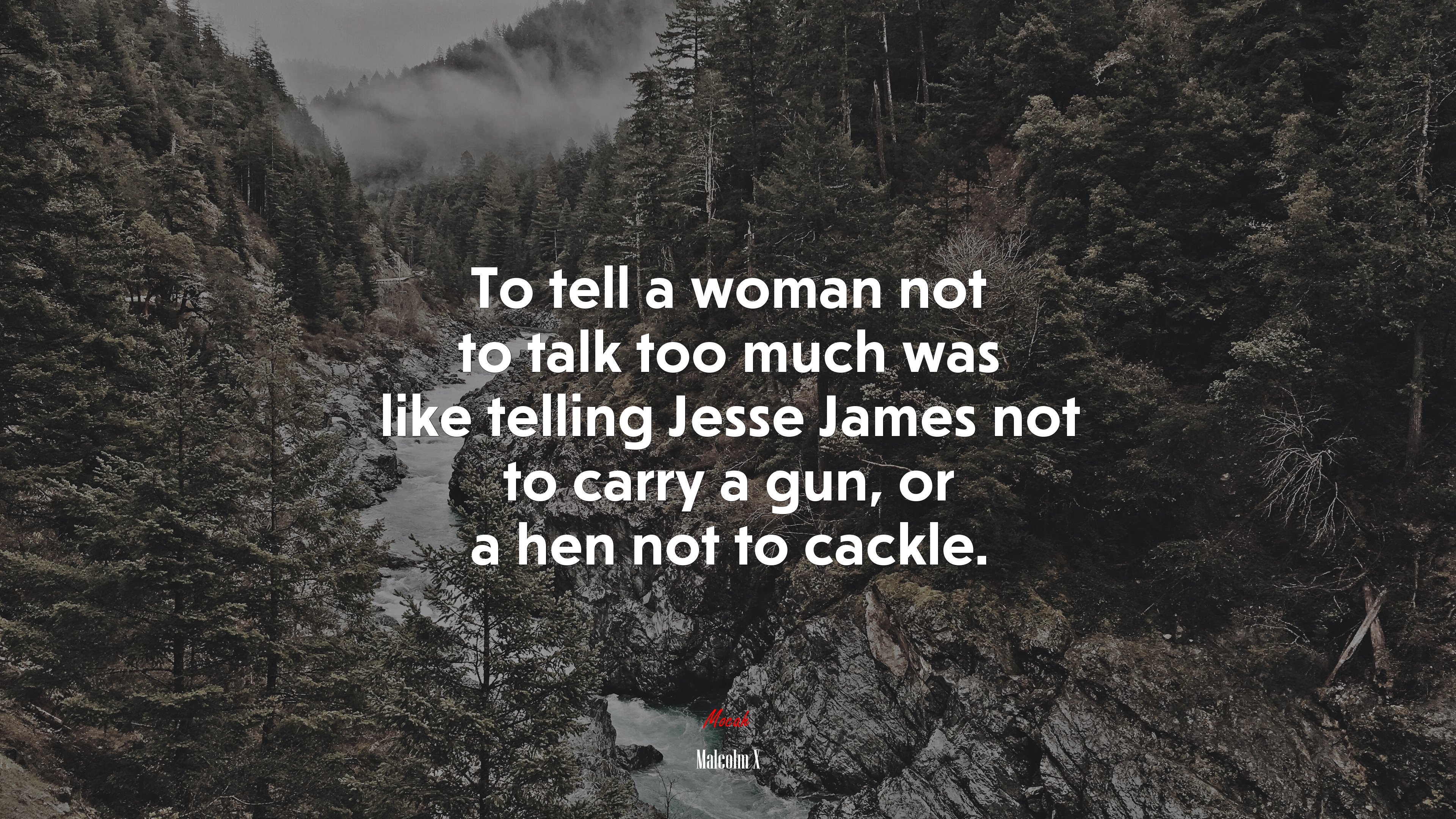 To tell a woman not to talk too much was like telling Jesse James not to carry a gun, or a hen not to cackle. | Malcolm X quote HD Wallpaper