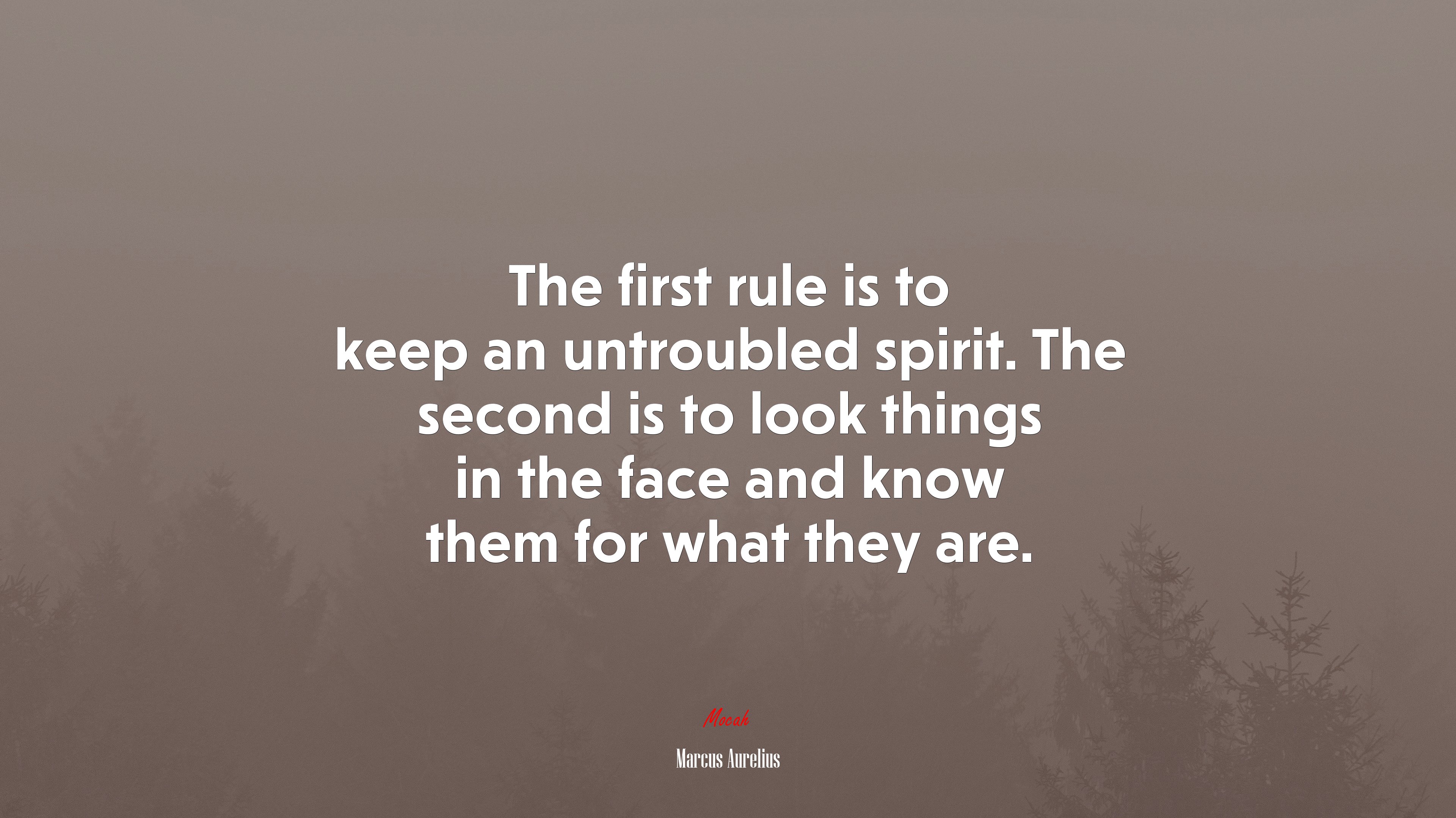 The first rule is to keep an untroubled spirit. The second is to look things in the face and know them for what they are. | Marcus Aurelius quote HD Wallpaper
