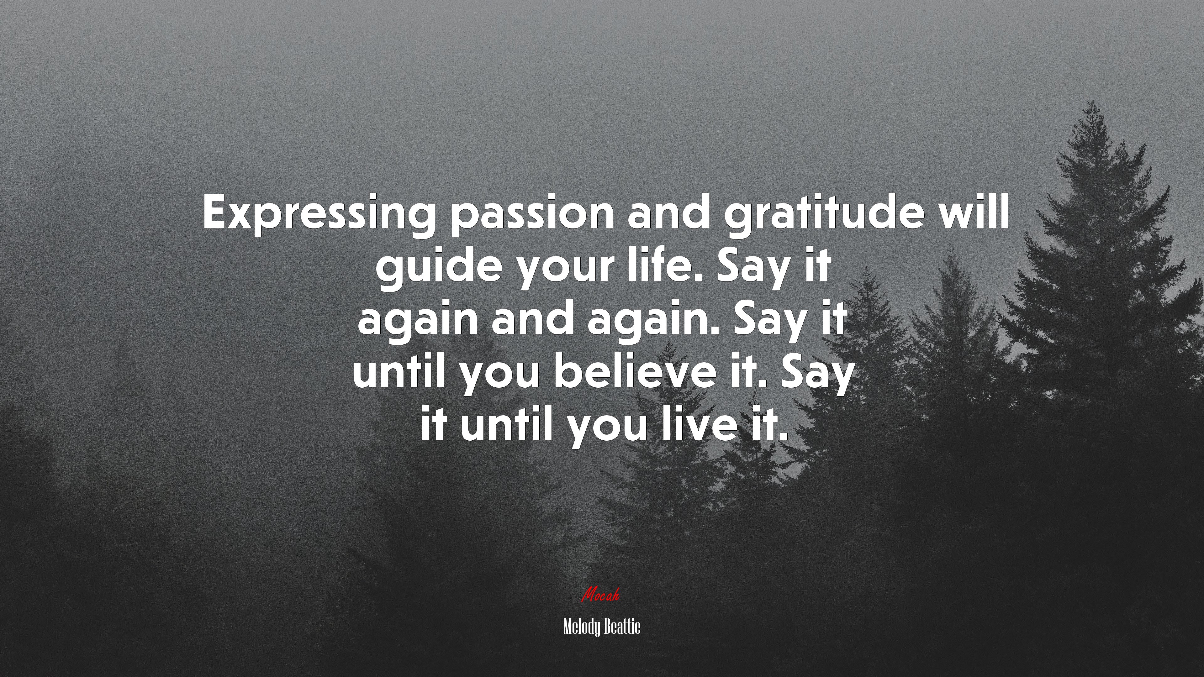 Expressing passion and gratitude will guide your life. Say it again and again. Say it until you believe it. Say it until you live it. | Melody Beattie quote HD Wallpaper