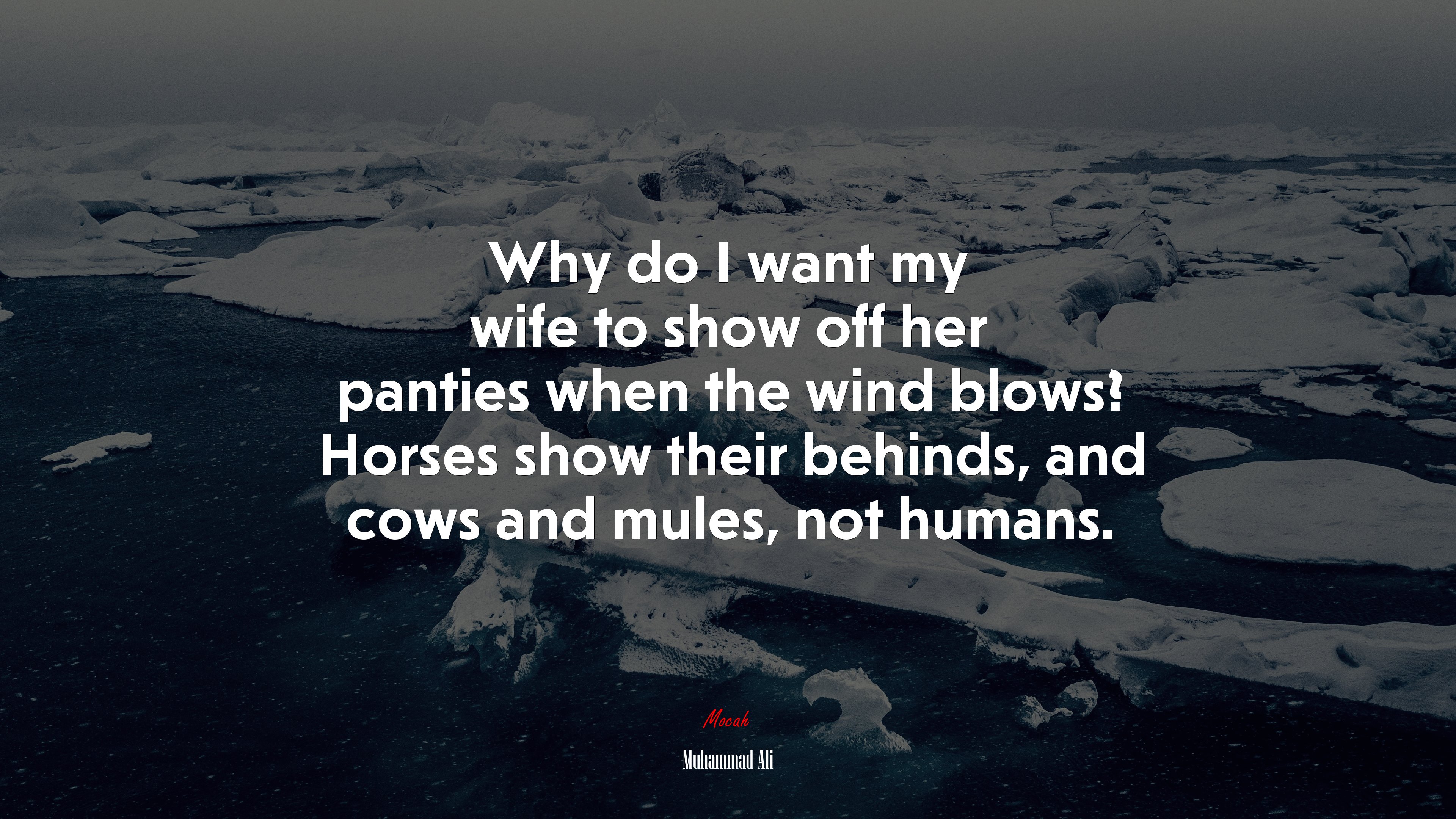 Why do I want my wife to show off her panties when the wind blows? Horses show their behinds, and cows and mules, not humans. | Muhammad Ali quote HD Wallpaper