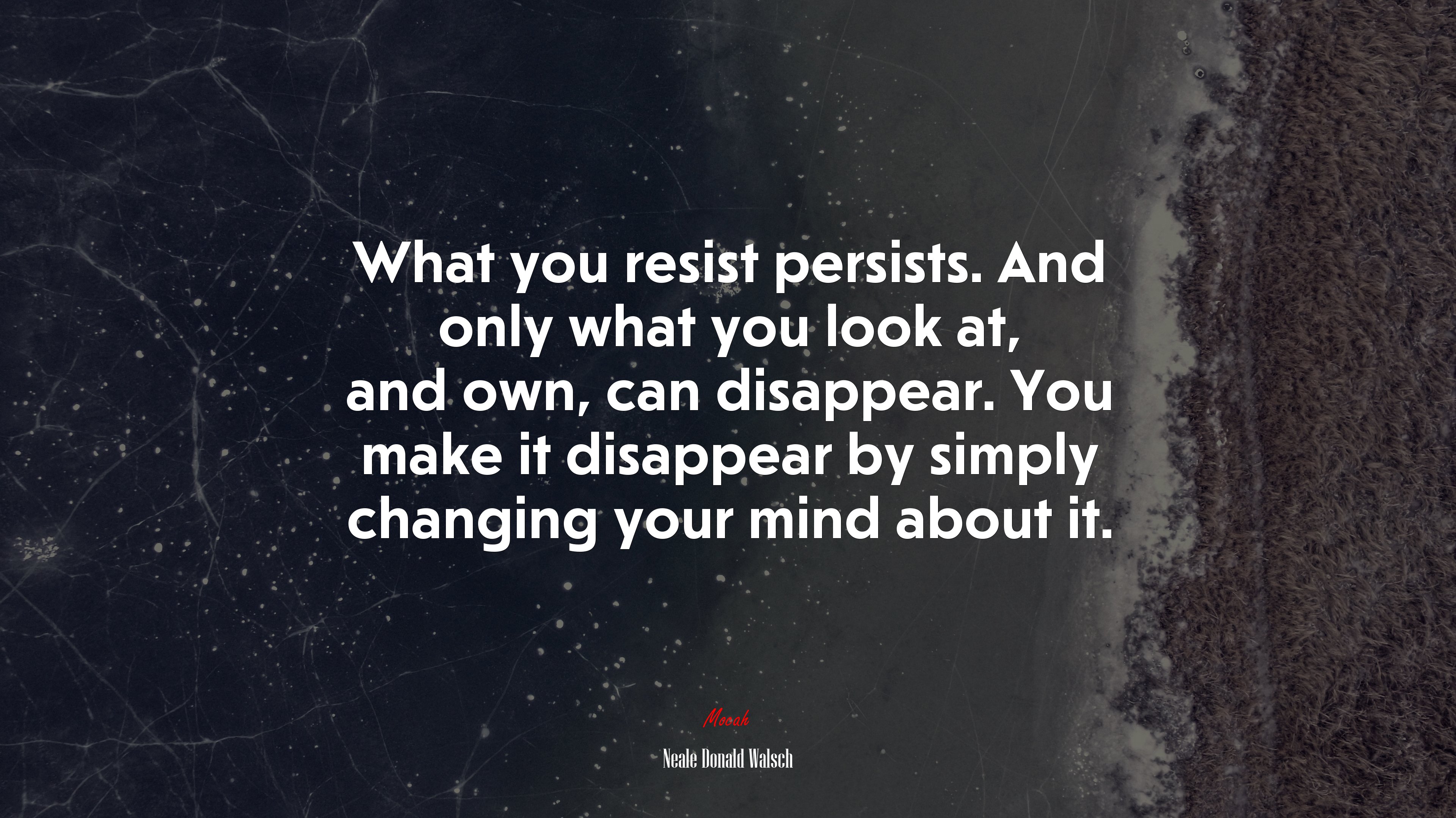 What you resist persists. And only what you look at, and own, can disappear. You make it disappear by simply changing your mind about it. | Neale Donald Walsch quote HD Wallpaper