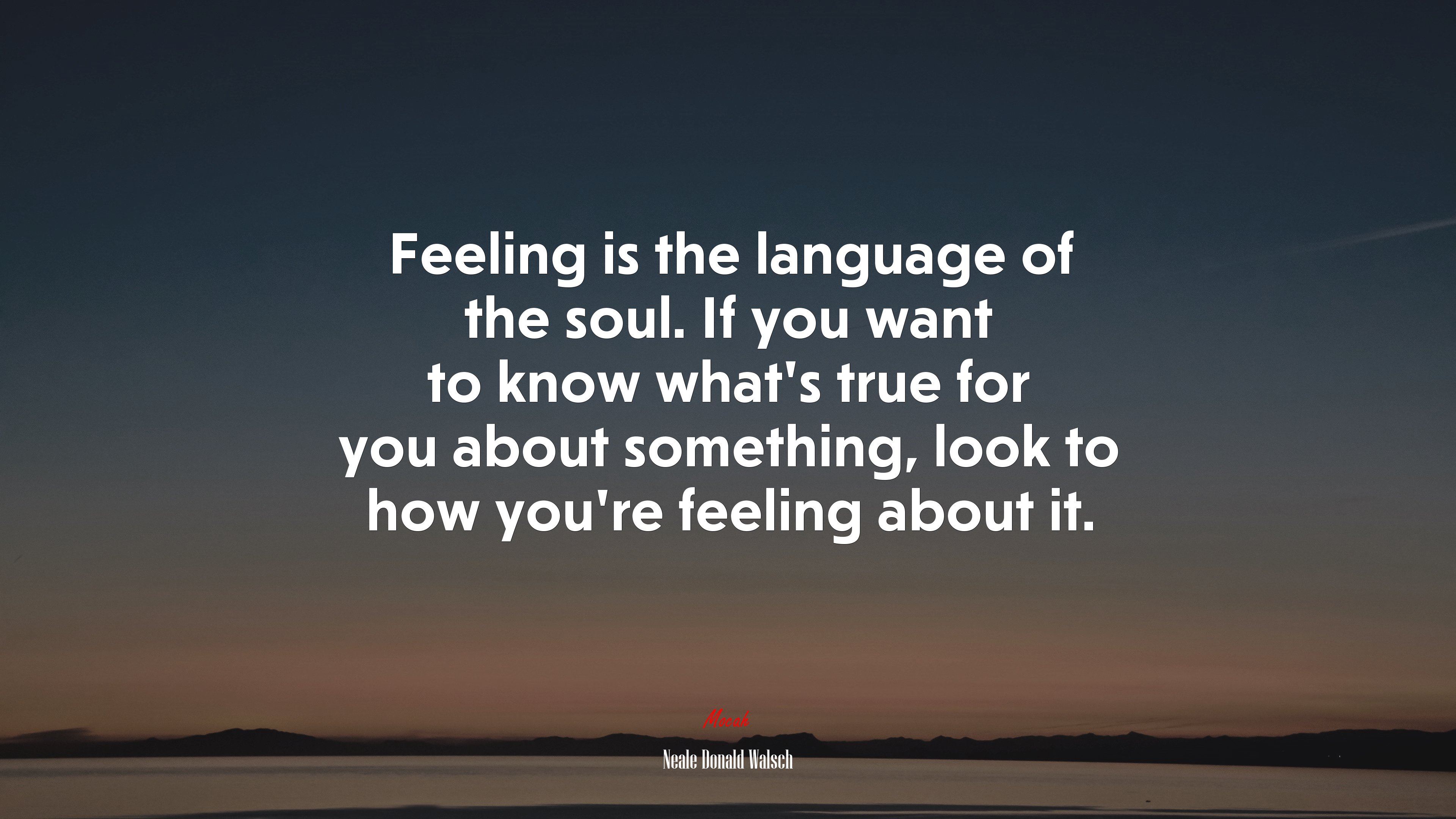 Feeling is the language of the soul. If you want to know what’s true for you about something, look to how you’re feeling about it. | Neale Donald Walsch quote HD Wallpaper