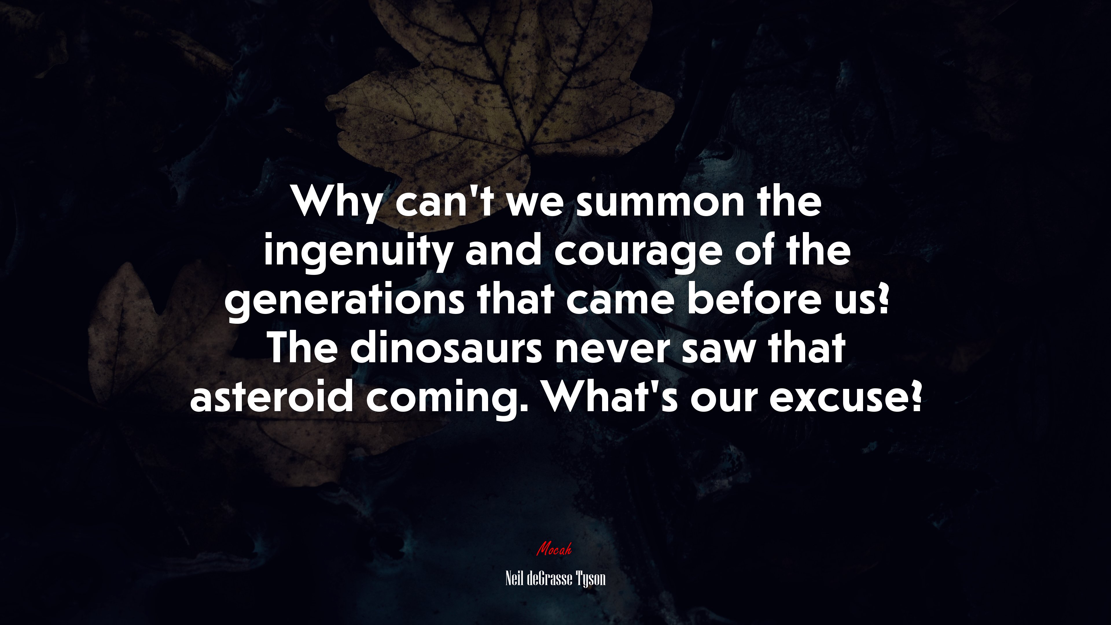Why can’t we summon the ingenuity and courage of the generations that came before us? The dinosaurs never saw that asteroid coming. What’s our excuse? | Neil deGrasse Tyson quote HD Wallpaper