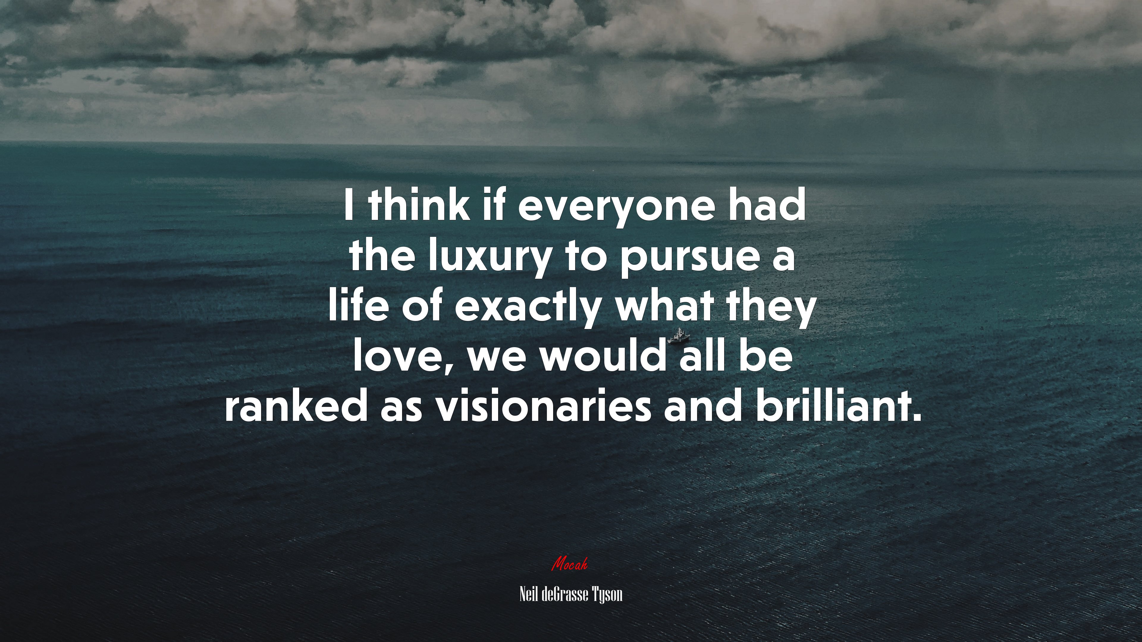 I think if everyone had the luxury to pursue a life of exactly what they love, we would all be ranked as visionaries and brilliant. | Neil deGrasse Tyson quote HD Wallpaper