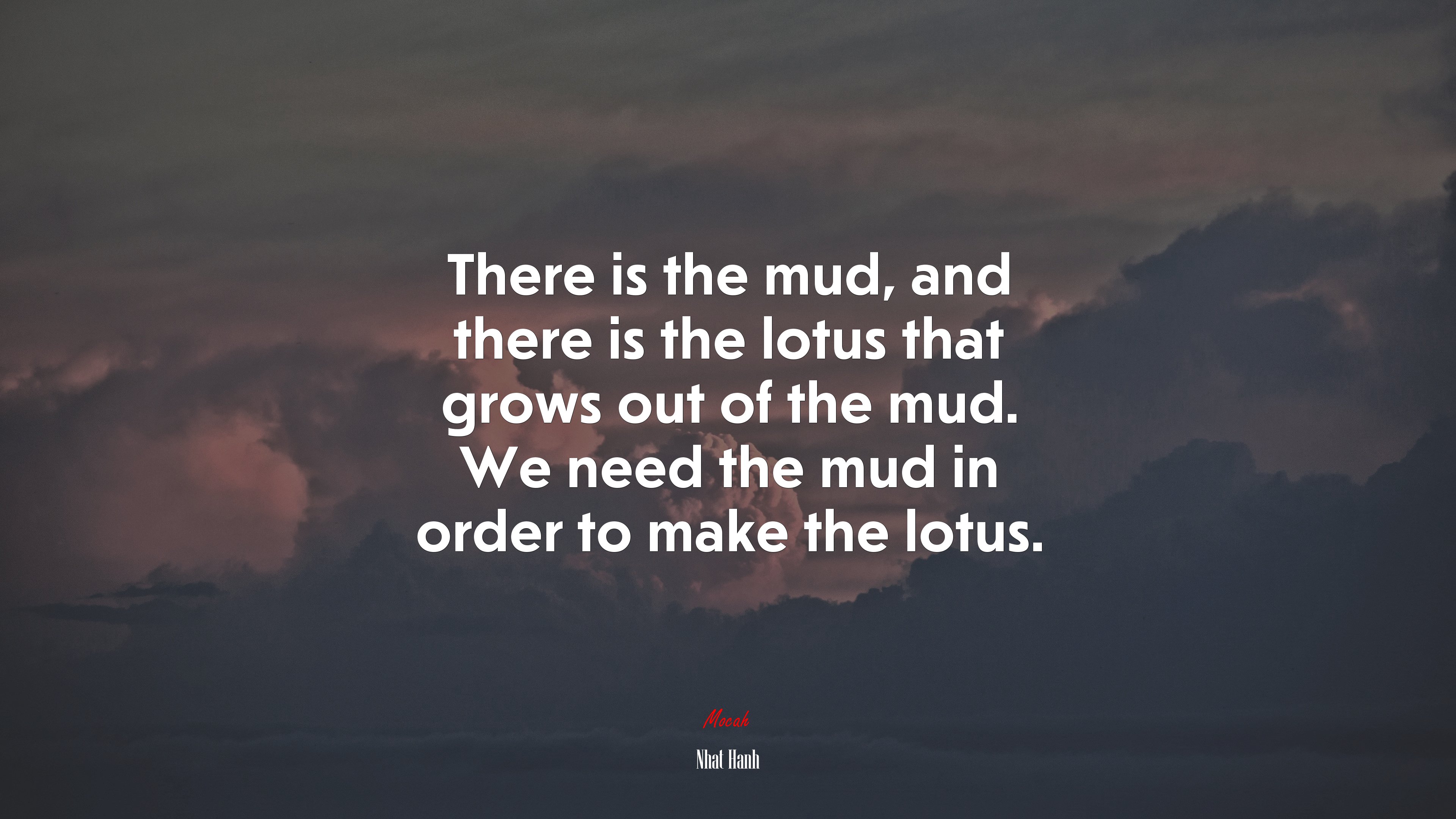 There is the mud, and there is the lotus that grows out of the mud. We need the mud in order to make the lotus. | Nhat Hanh quote HD Wallpaper