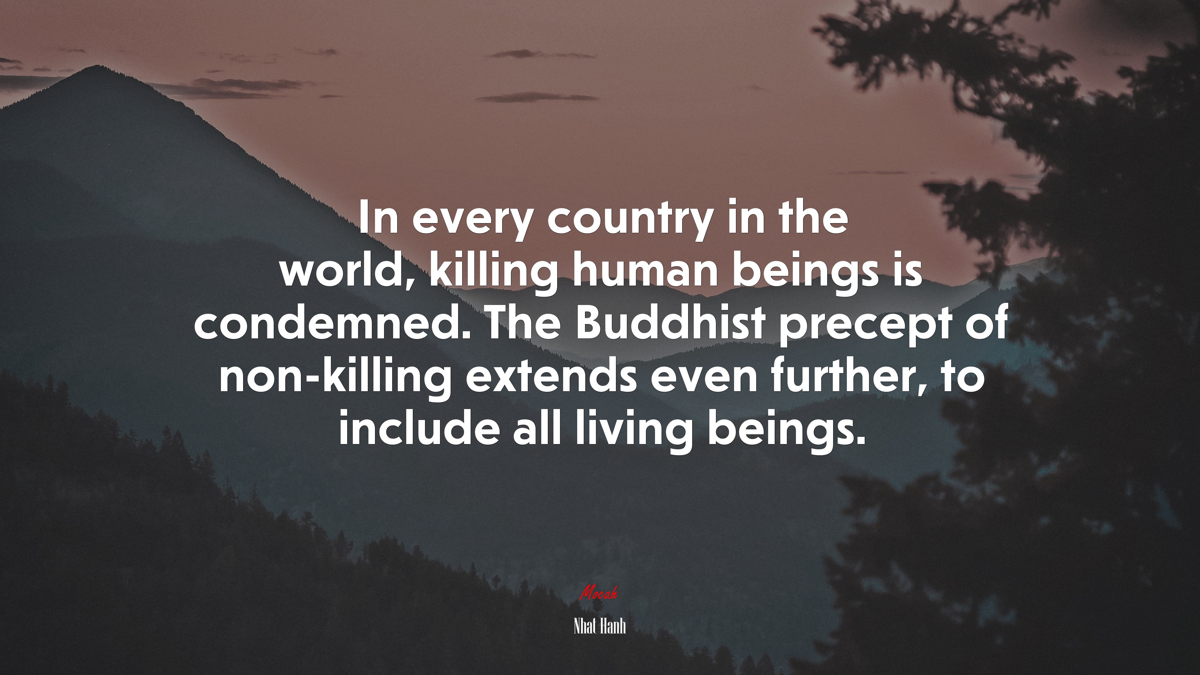 In every country in the world, killing human beings is condemned. The Buddhist precept of non-killing extends even further, to include all living beings. | Nhat Hanh quote HD Wallpaper