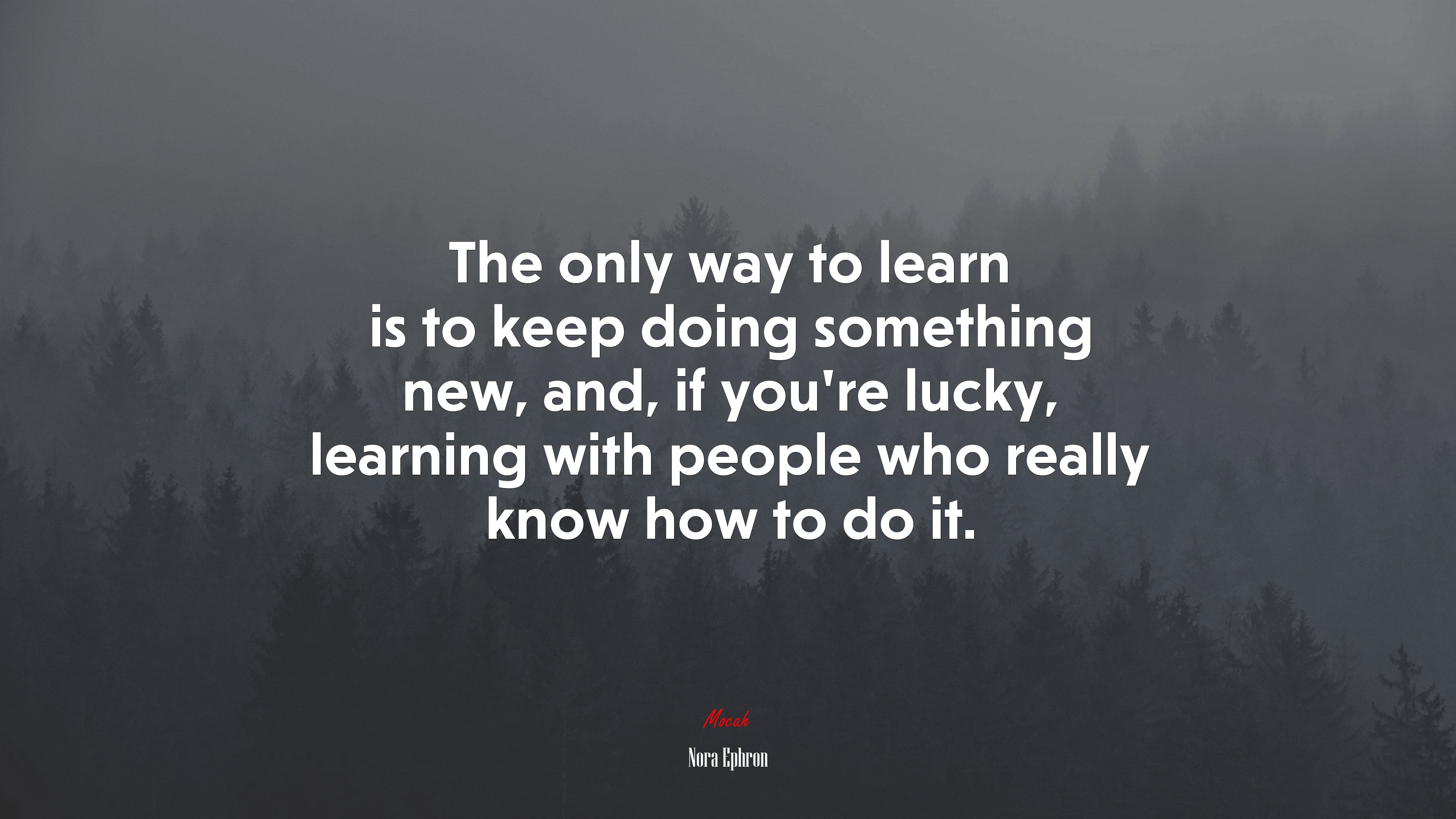 The only way to learn is to keep doing something new, and, if you’re lucky, learning with people who really know how to do it. | Nora Ephron quote HD Wallpaper