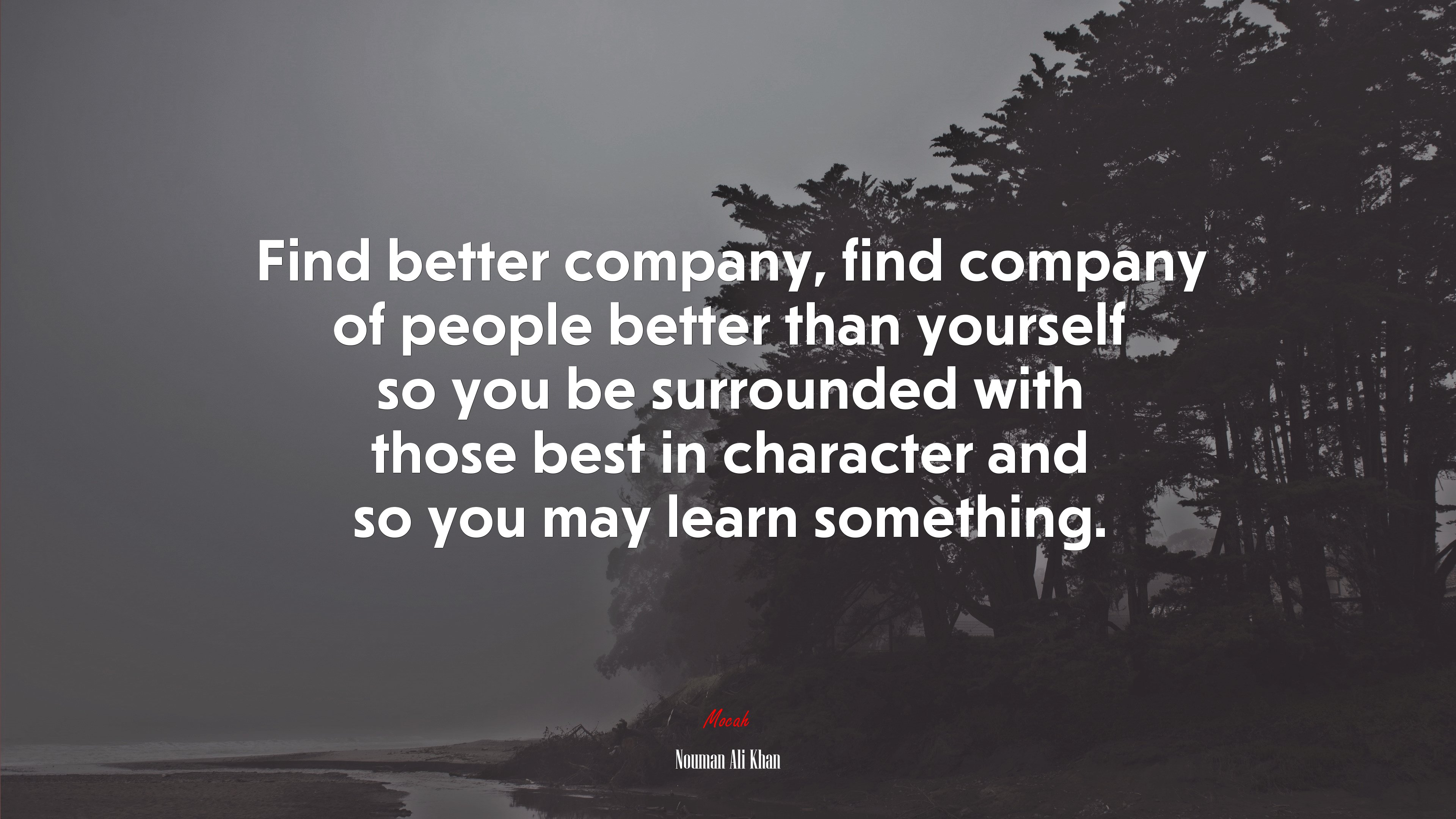 Find better company, find company of people better than yourself so you be surrounded with those best in character and so you may learn something. | Nouman Ali Khan quote HD Wallpaper