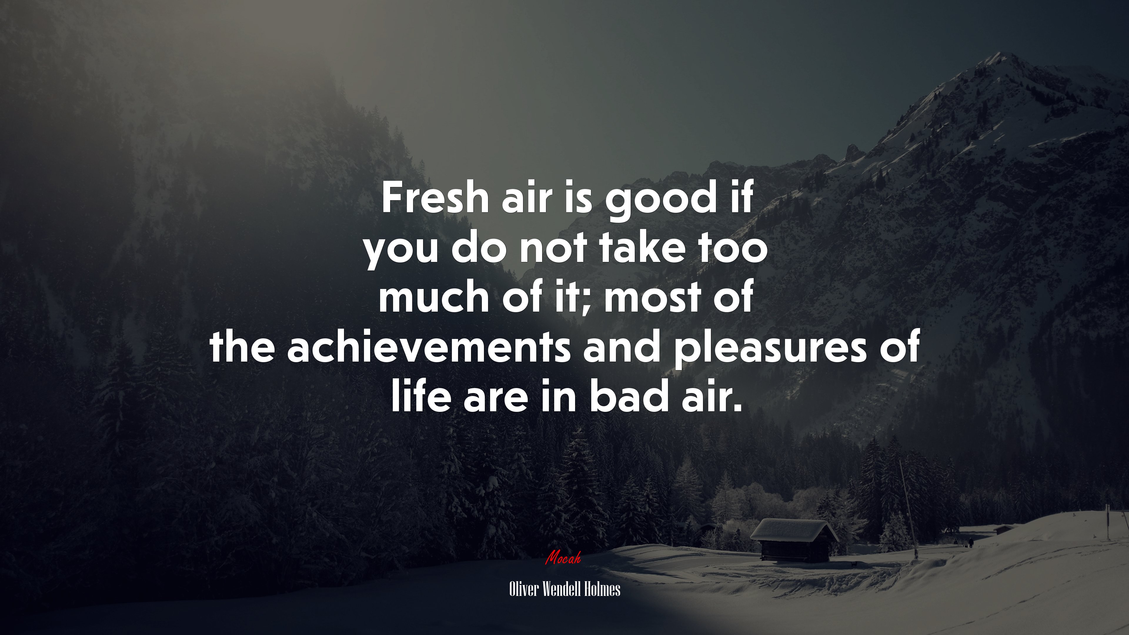 Fresh air is good if you do not take too much of it; most of the achievements and pleasures of life are in bad air. | Oliver Wendell Holmes quote HD Wallpaper