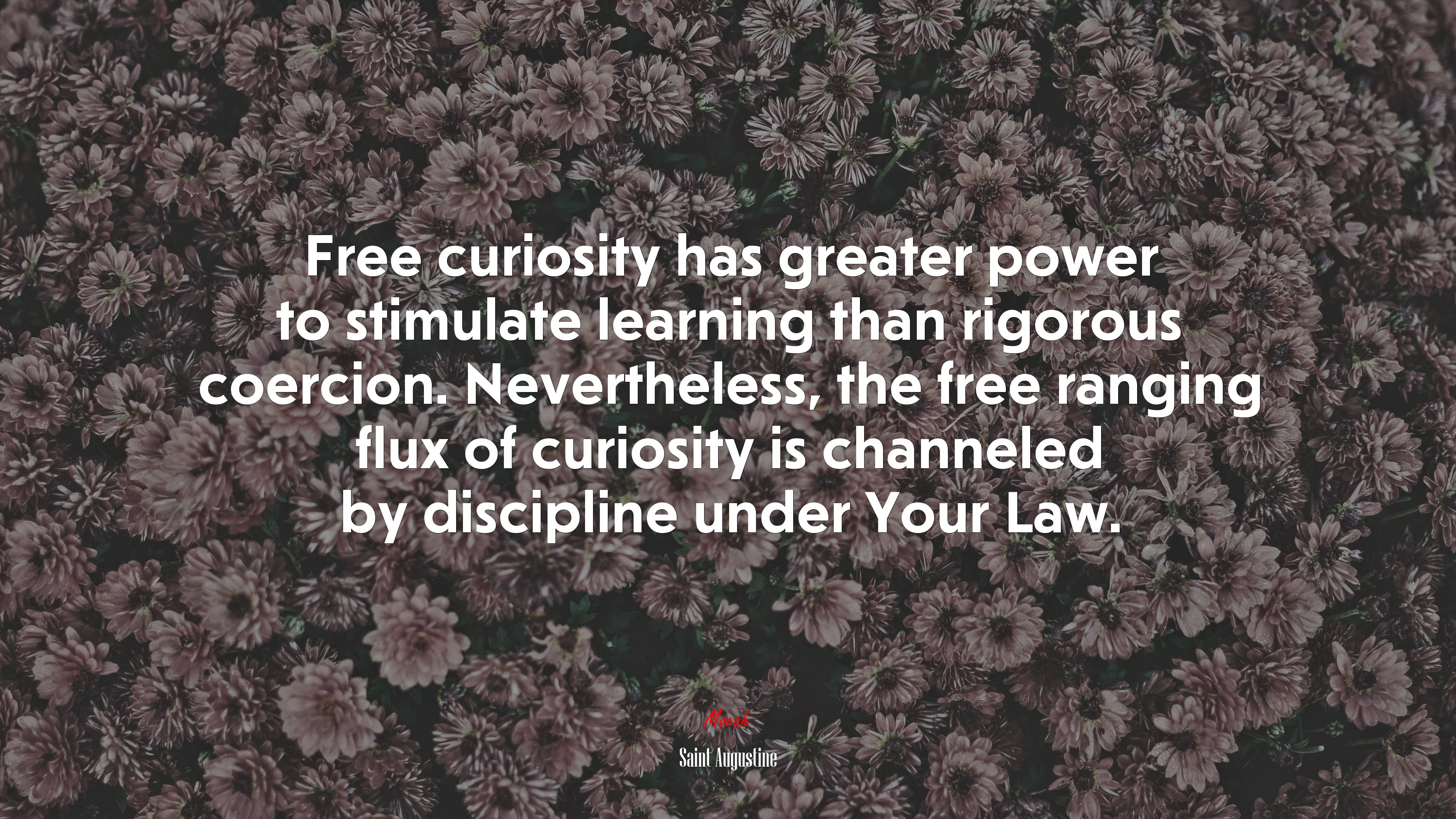 Free curiosity has greater power to stimulate learning than rigorous coercion. Nevertheless, the free ranging flux of curiosity is channeled by discipline under Your Law. | Saint Augustine quote HD Wallpaper