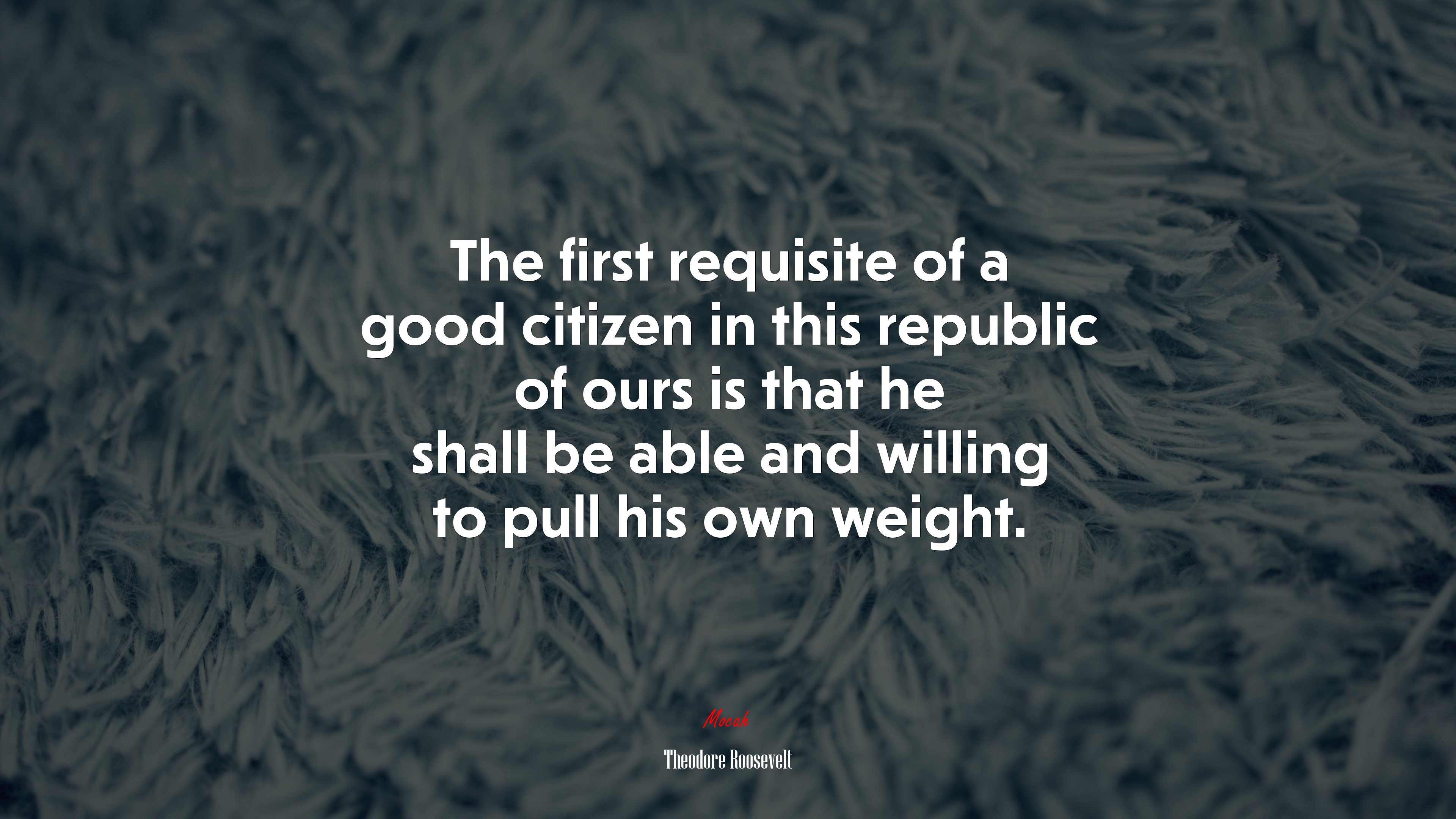 The first requisite of a good citizen in this republic of ours is that he shall be able and willing to pull his own weight. | Theodore Roosevelt quote HD Wallpaper