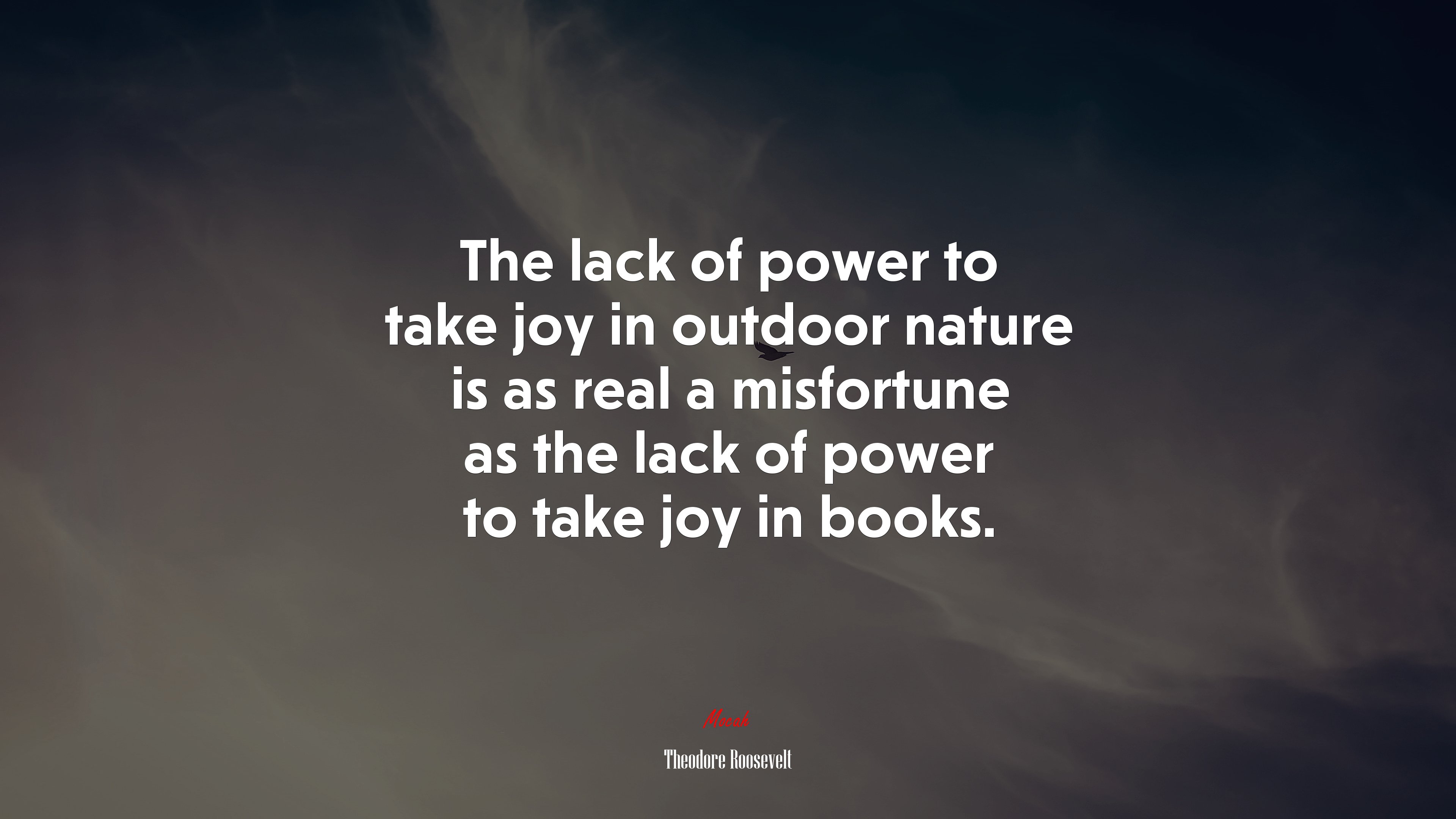 The lack of power to take joy in outdoor nature is as real a misfortune as the lack of power to take joy in books. | Theodore Roosevelt quote HD Wallpaper