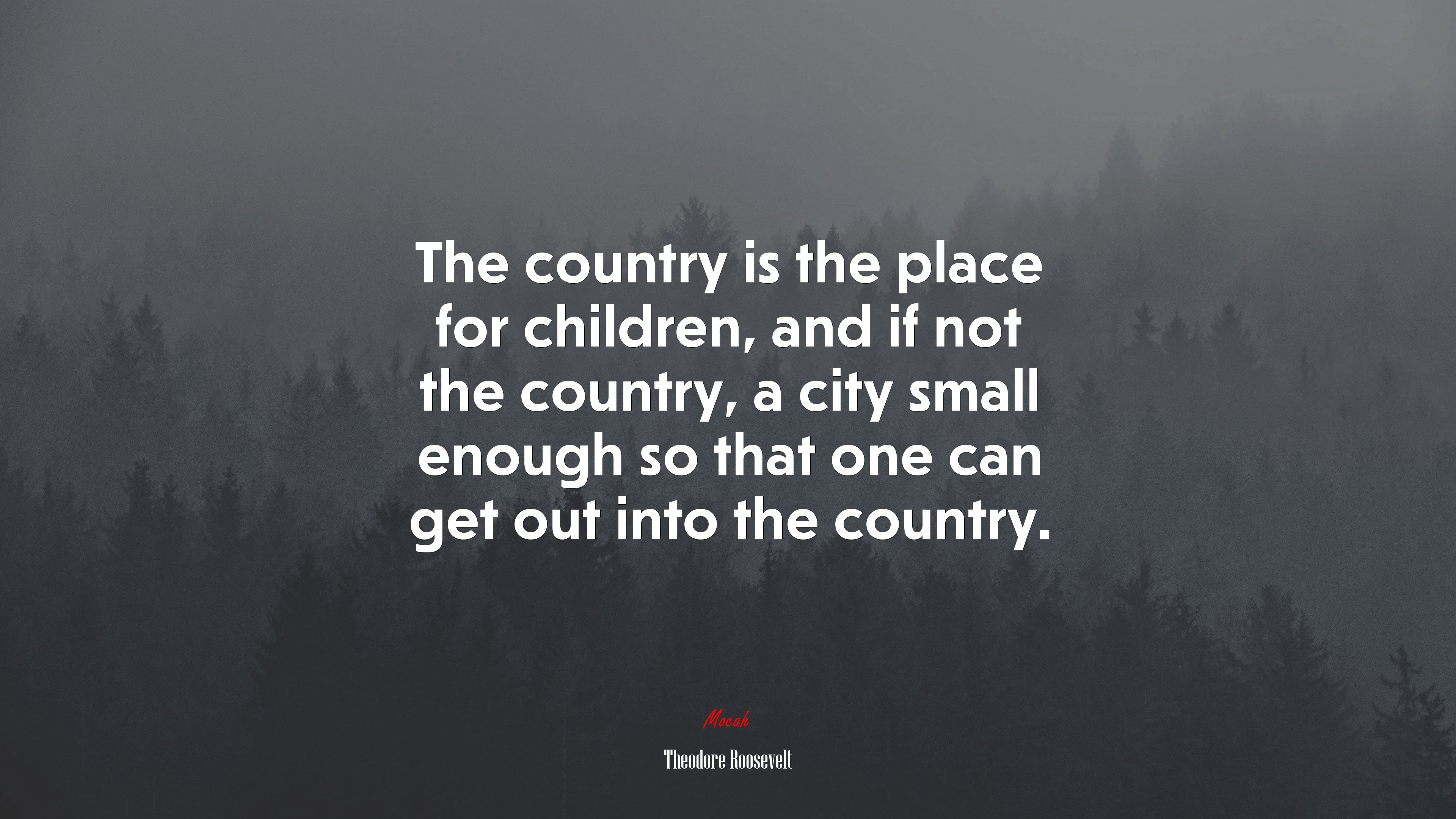 The country is the place for children, and if not the country, a city small enough so that one can get out into the country. | Theodore Roosevelt quote HD Wallpaper