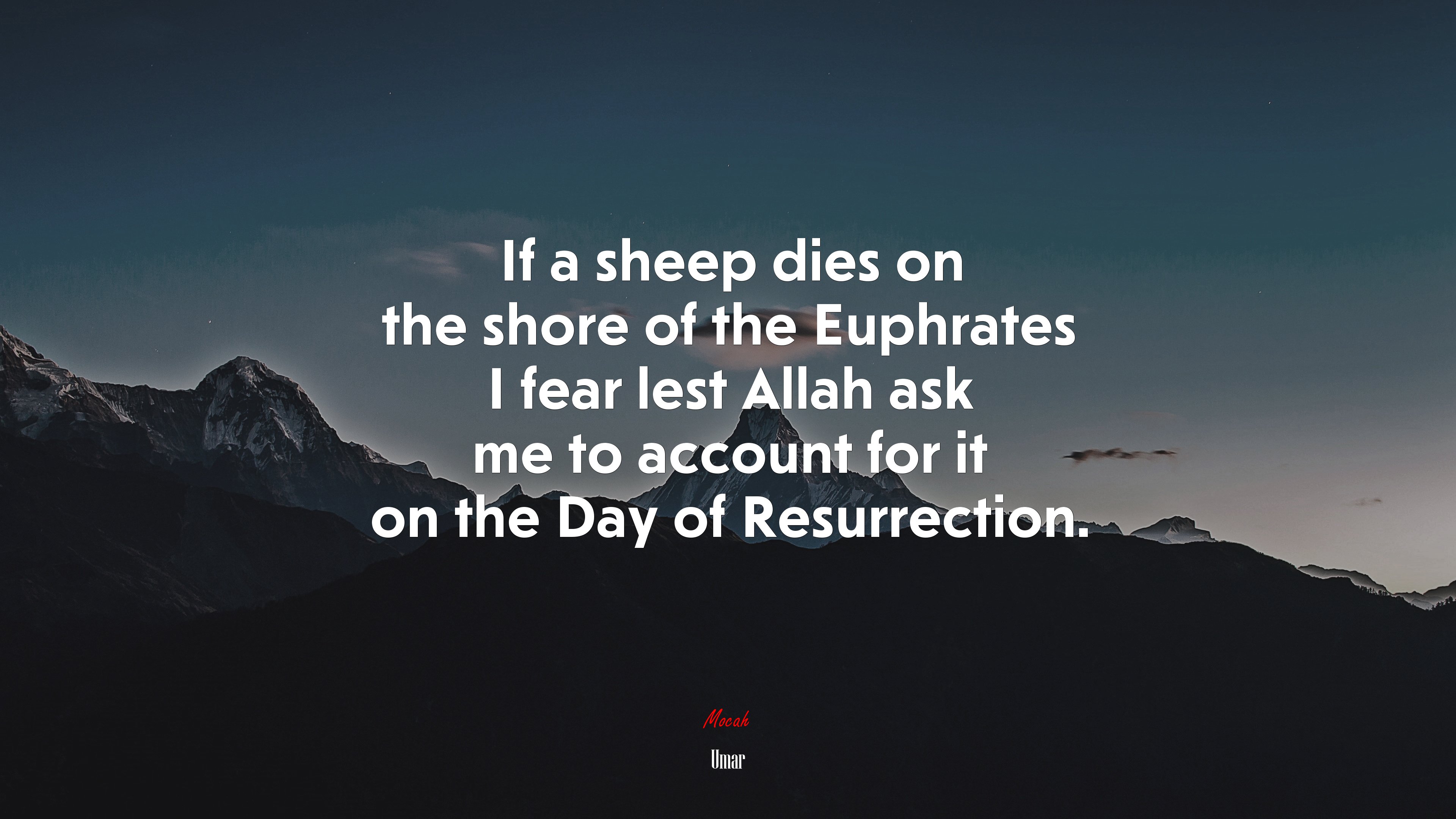 If a sheep dies on the shore of the Euphrates I fear lest Allah ask me to account for it on the Day of Resurrection. | Umar quote HD Wallpaper