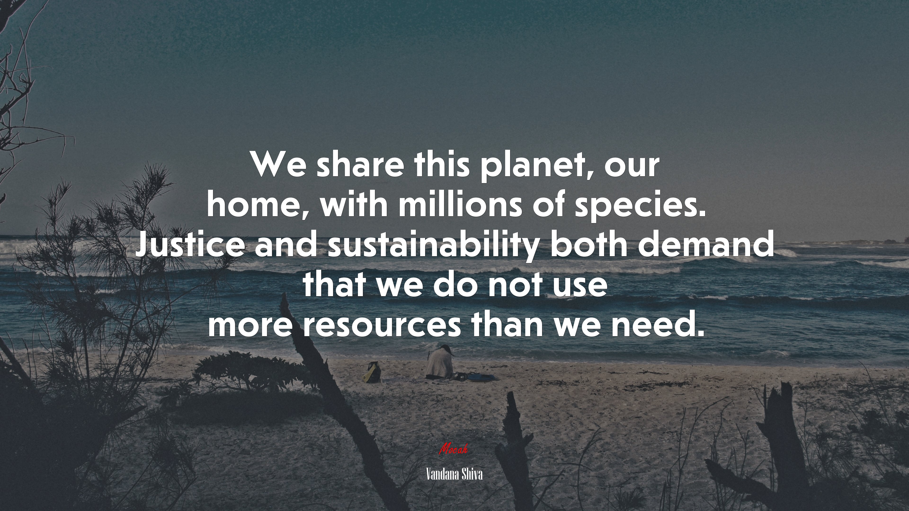 We share this planet, our home, with millions of species. Justice and sustainability both demand that we do not use more resources than we need. | Vandana Shiva quote HD Wallpaper