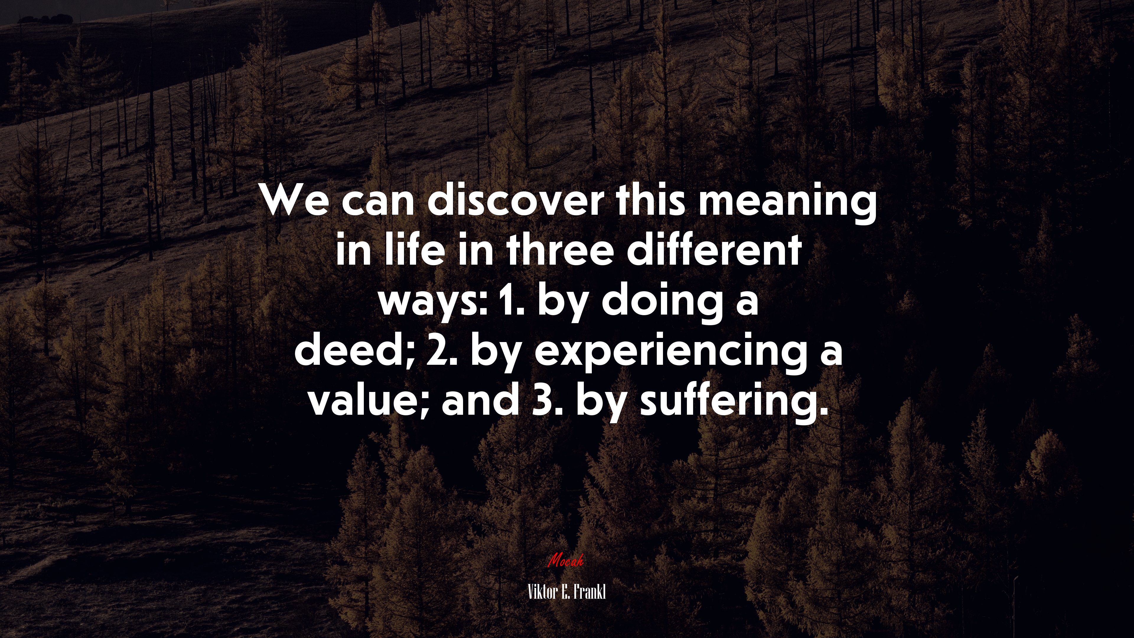 We can discover this meaning in life in three different ways: 1. by doing a deed; 2. by experiencing a value; and 3. by suffering. | Viktor E. Frankl quote HD Wallpaper