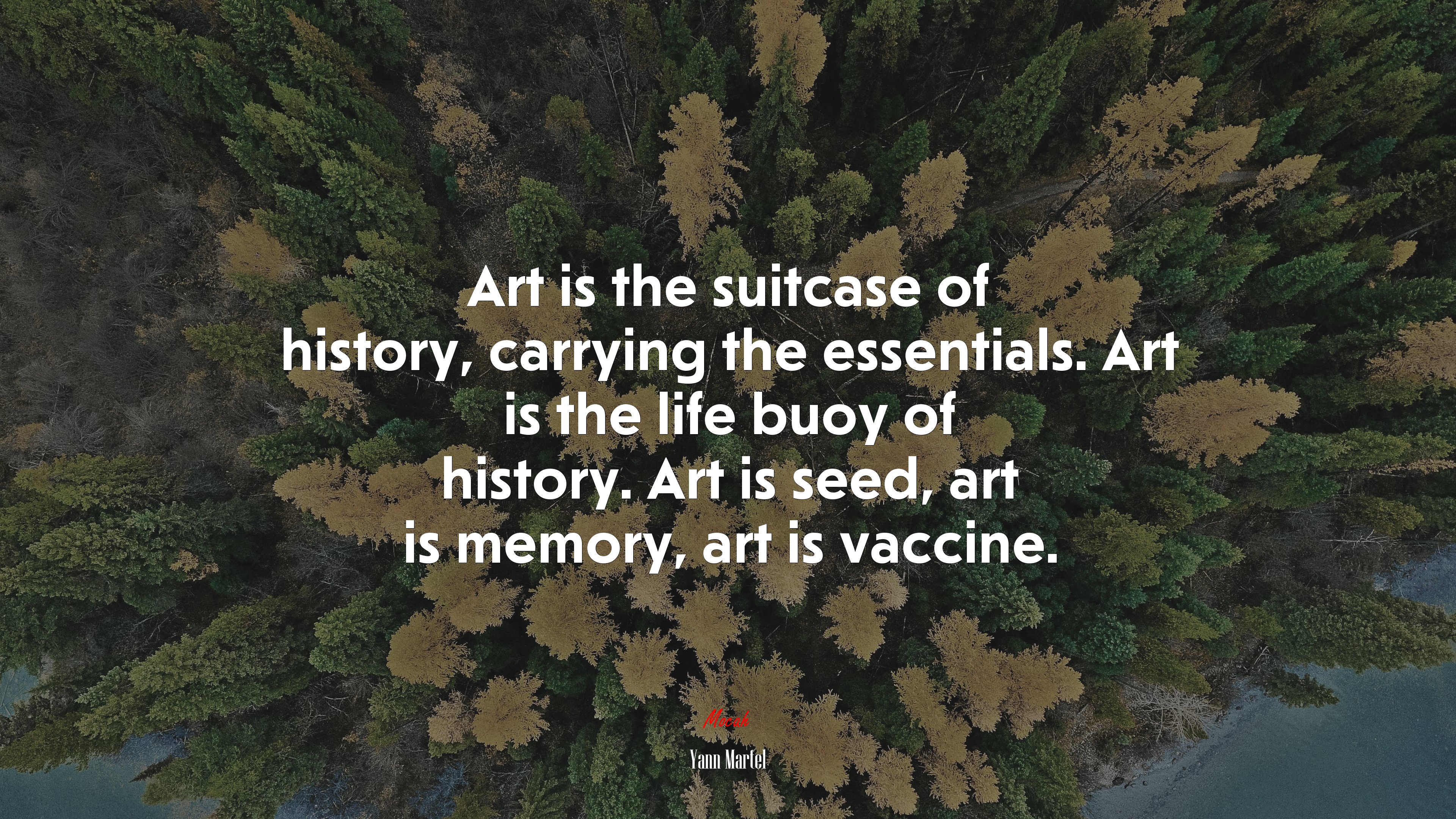Art is the suitcase of history, carrying the essentials. Art is the life buoy of history. Art is seed, art is memory, art is vaccine. | Yann Martel quote HD Wallpaper