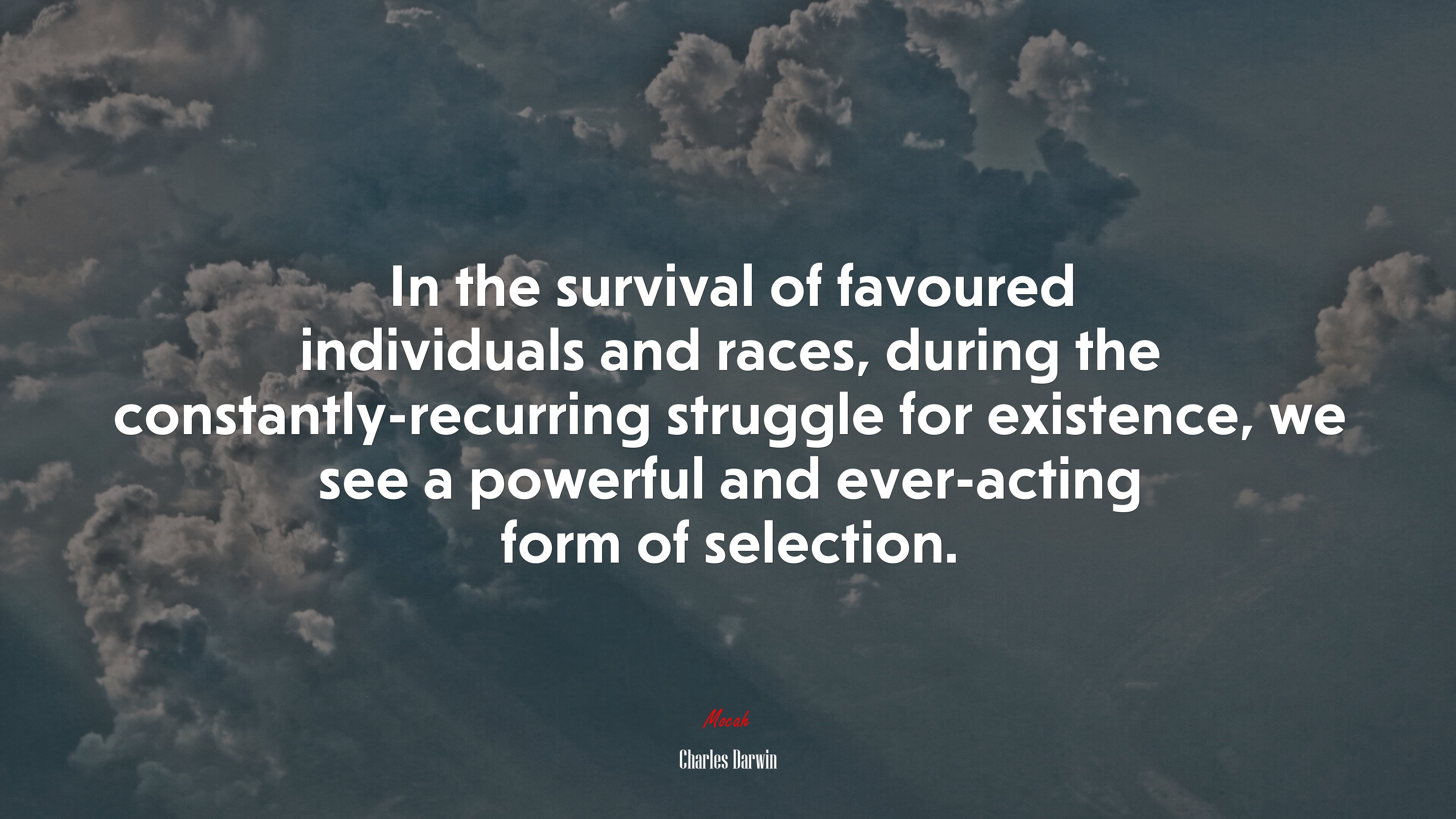 In the survival of favoured individuals and races, during the constantly-recurring struggle for existence, we see a powerful and ever-acting form of selection. | Charles Darwin quote HD Wallpaper