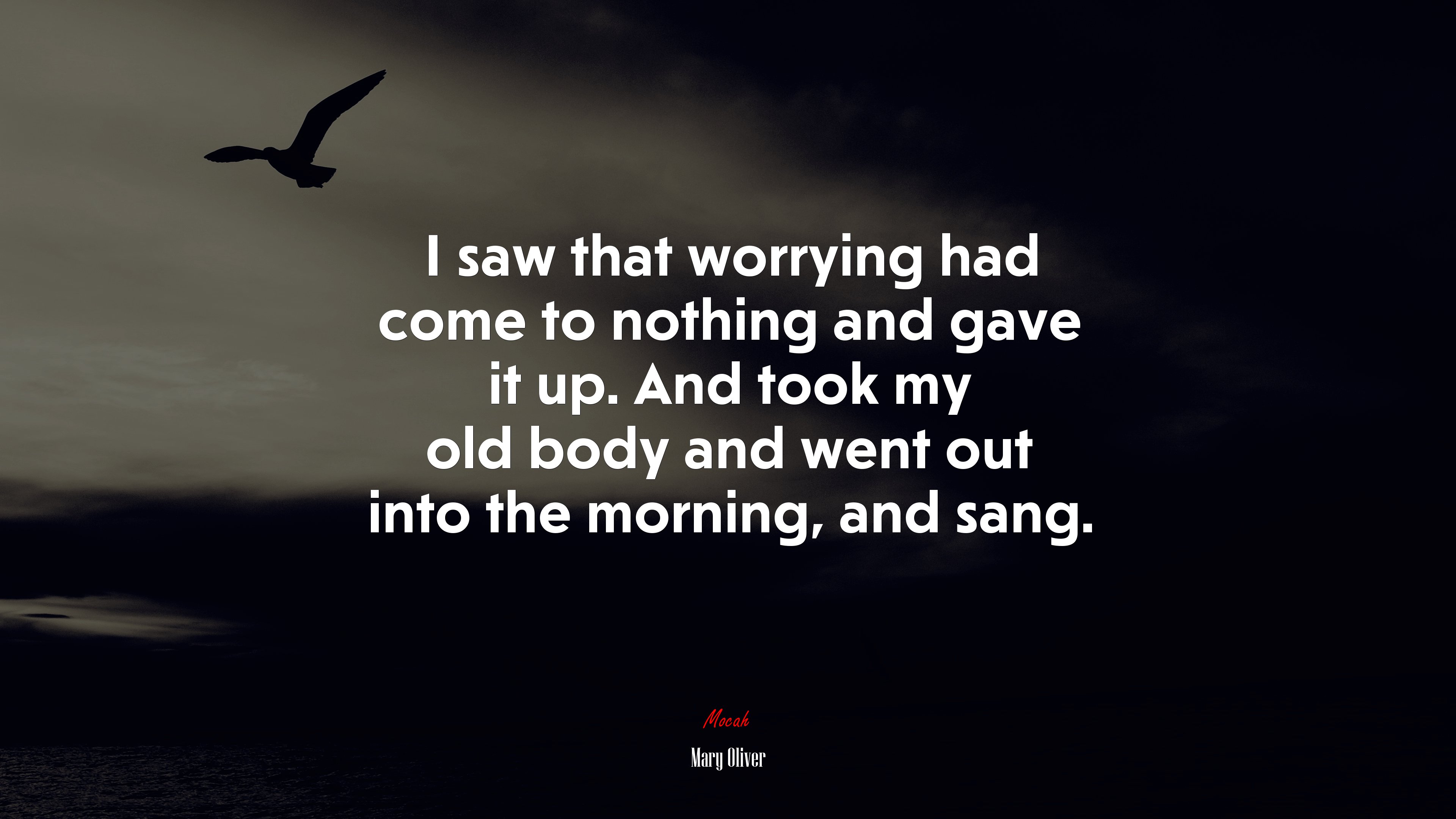 I saw that worrying had come to nothing and gave it up. And took my old body and went out into the morning, and sang. | Mary Oliver quote HD Wallpaper
