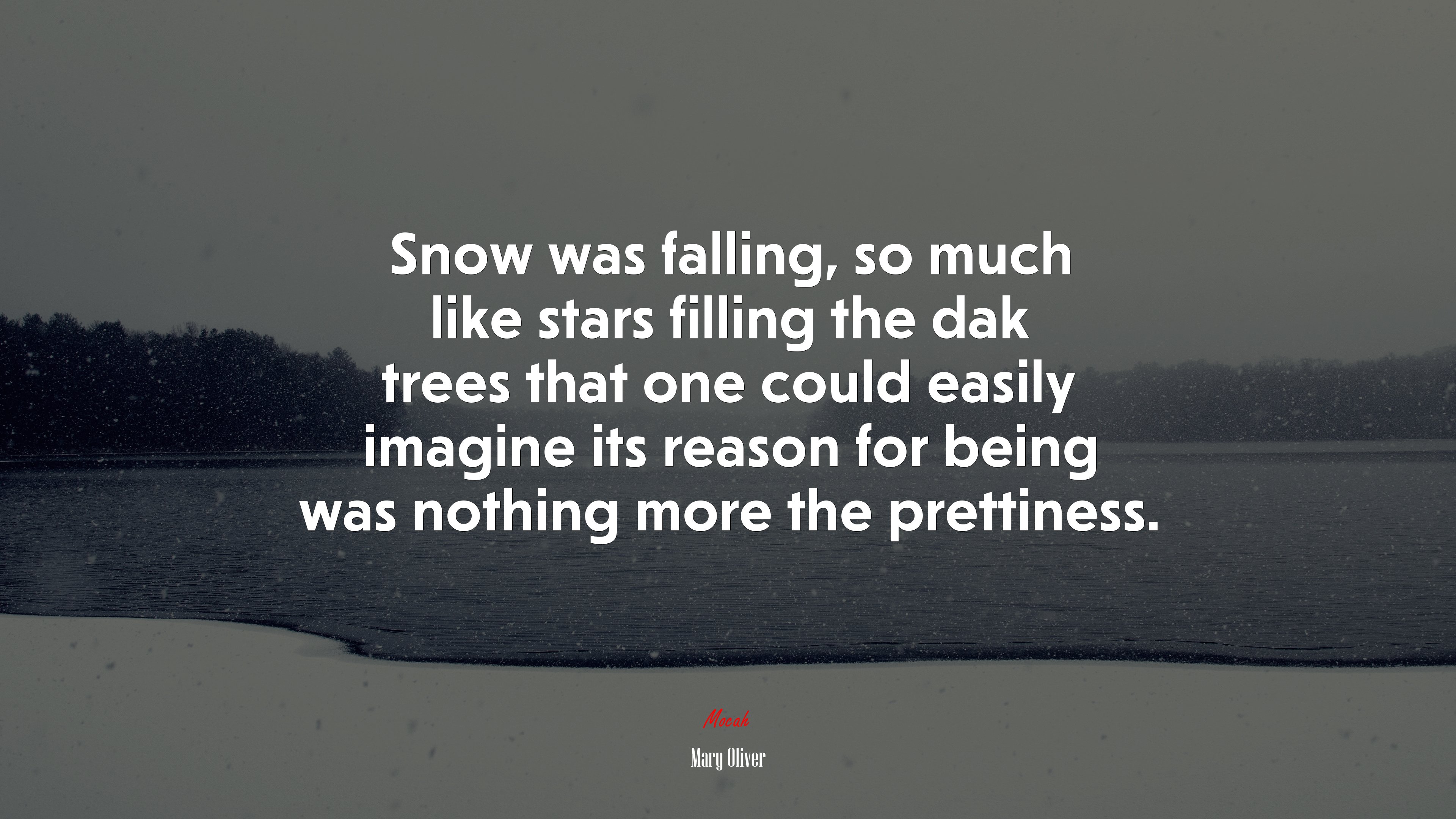 Snow was falling, so much like stars filling the dak trees that one could easily imagine its reason for being was nothing more the prettiness. | Mary Oliver quote HD Wallpaper
