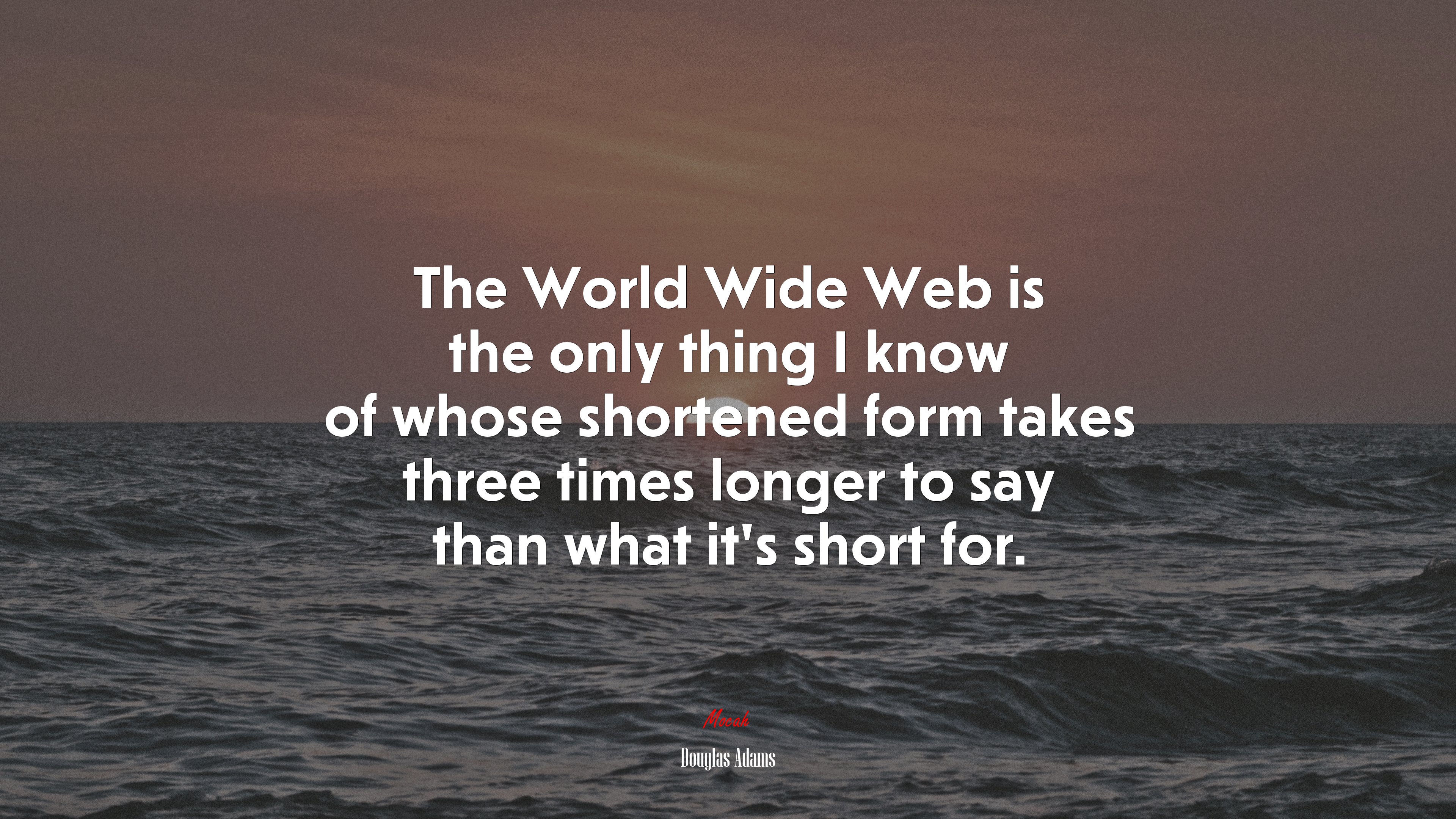 The World Wide Web is the only thing I know of whose shortened form takes three times longer to say than what it’s short for. | Douglas Adams quote HD Wallpaper