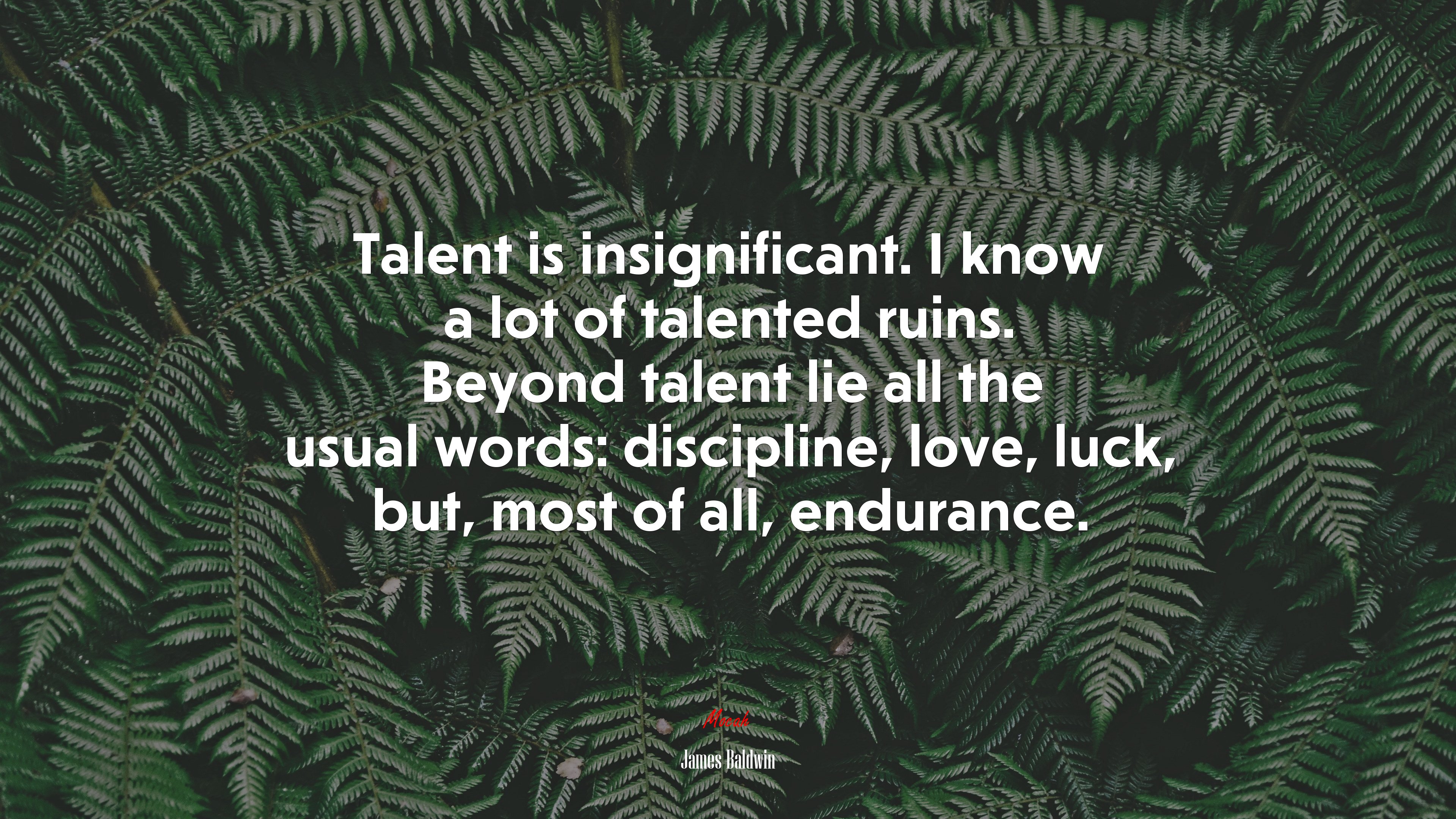 Talent is insignificant. I know a lot of talented ruins. Beyond talent lie all the usual words: discipline, love, luck, but, most of all, endurance. | James Baldwin quote HD Wallpaper