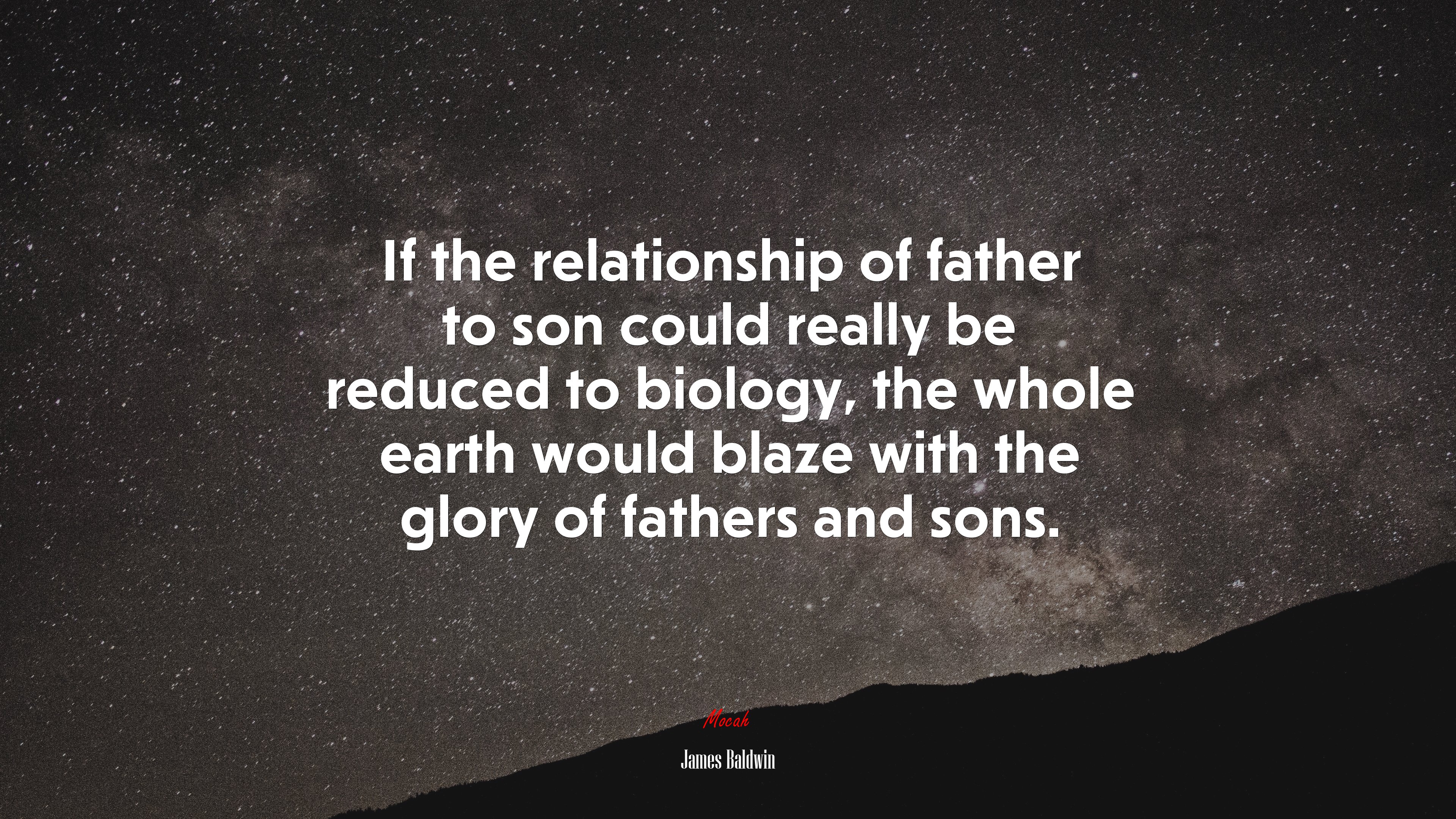 If the relationship of father to son could really be reduced to biology, the whole earth would blaze with the glory of fathers and sons. | James Baldwin quote HD Wallpaper