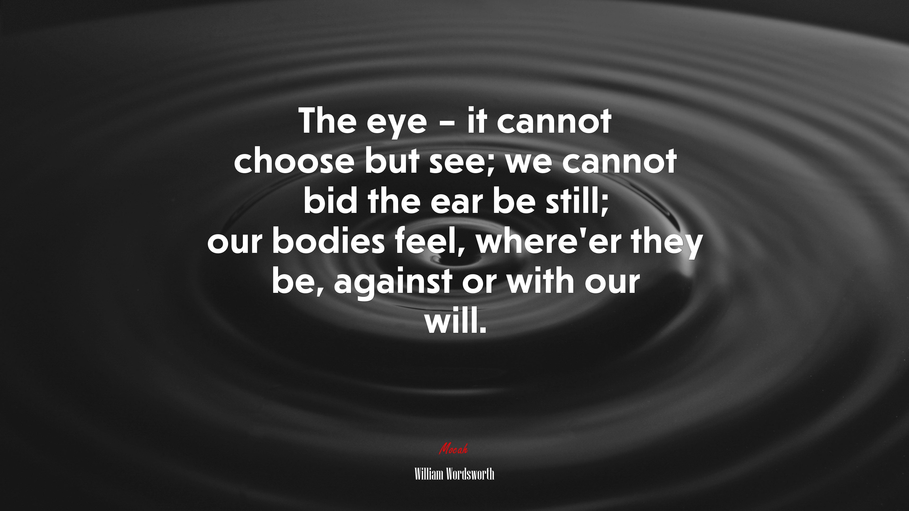 The eye – it cannot choose but see; we cannot bid the ear be still; our bodies feel, where’er they be, against or with our will. | William Wordsworth quote HD Wallpaper