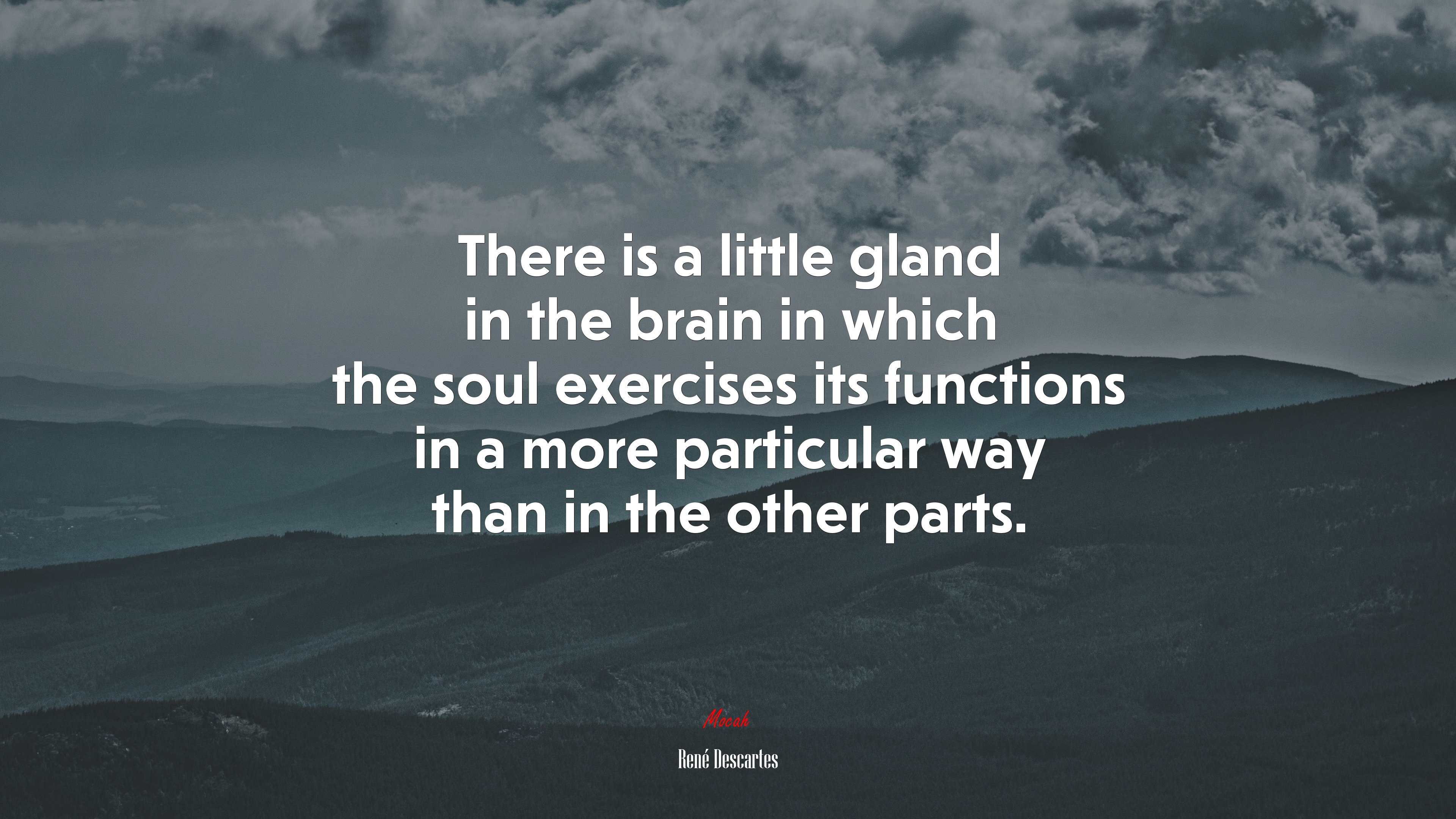 There is a little gland in the brain in which the soul exercises its functions in a more particular way than in the other parts. | René Descartes quote HD Wallpaper