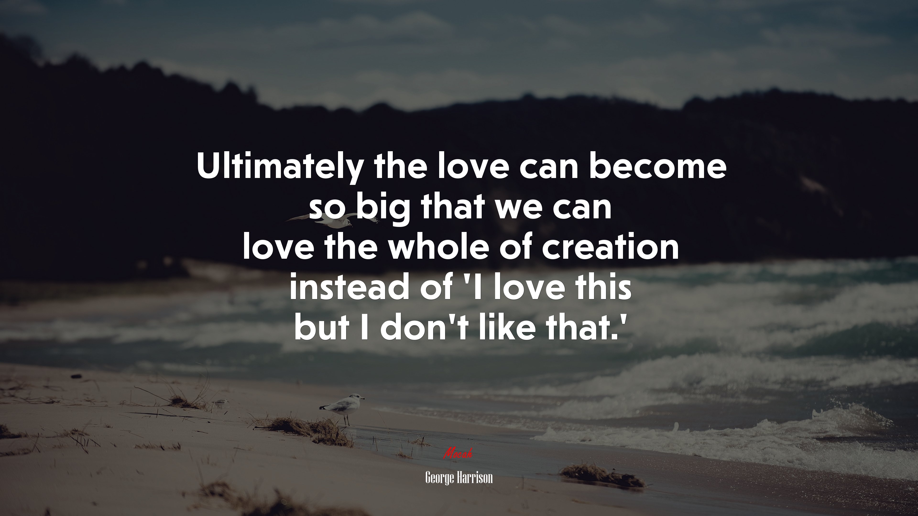 Ultimately the love can become so big that we can love the whole of creation instead of ‘I love this but I don’t like that.’ | George Harrison quote HD Wallpaper