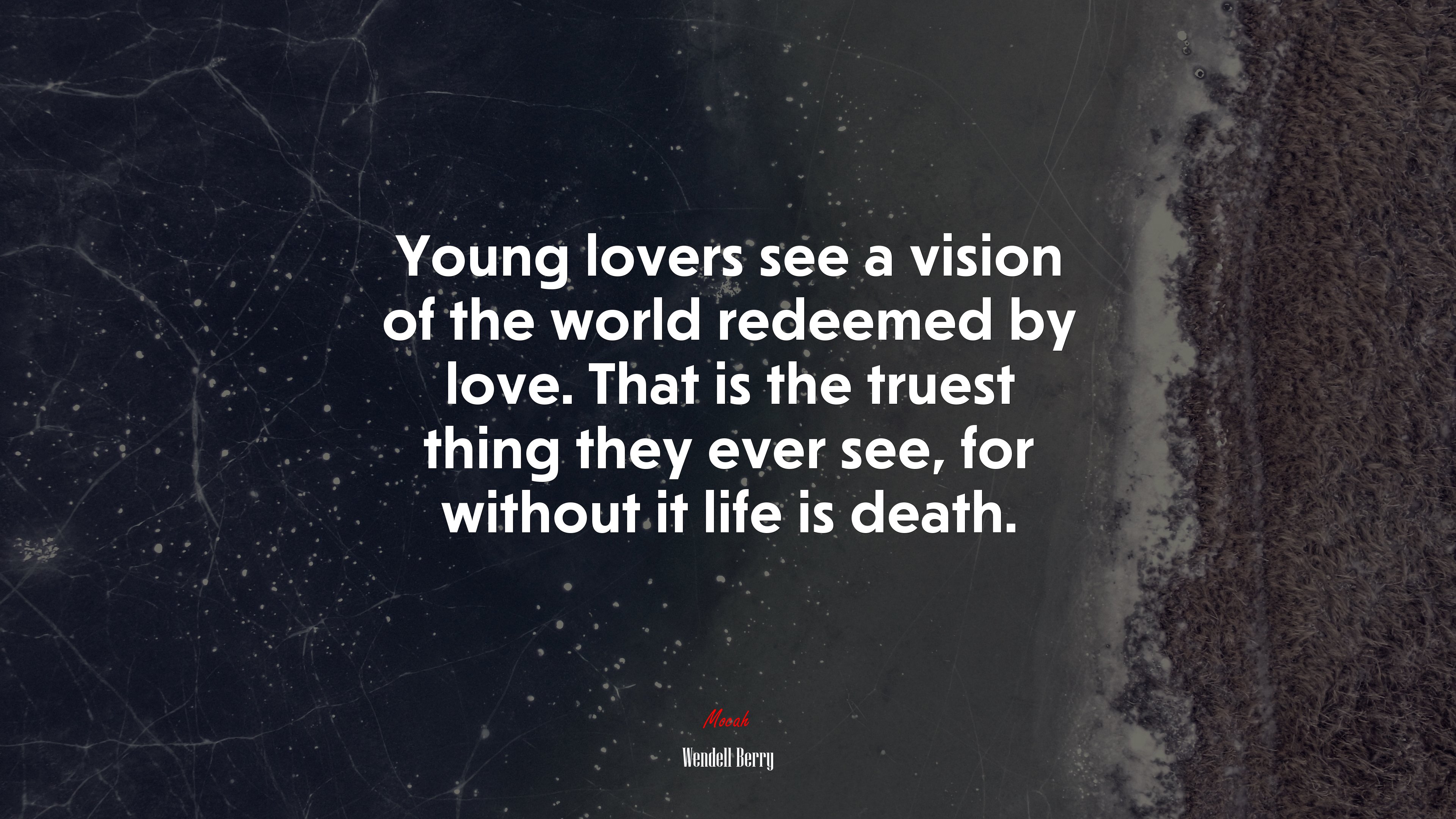 Young lovers see a vision of the world redeemed by love. That is the truest thing they ever see, for without it life is death. | Wendell Berry quote HD Wallpaper