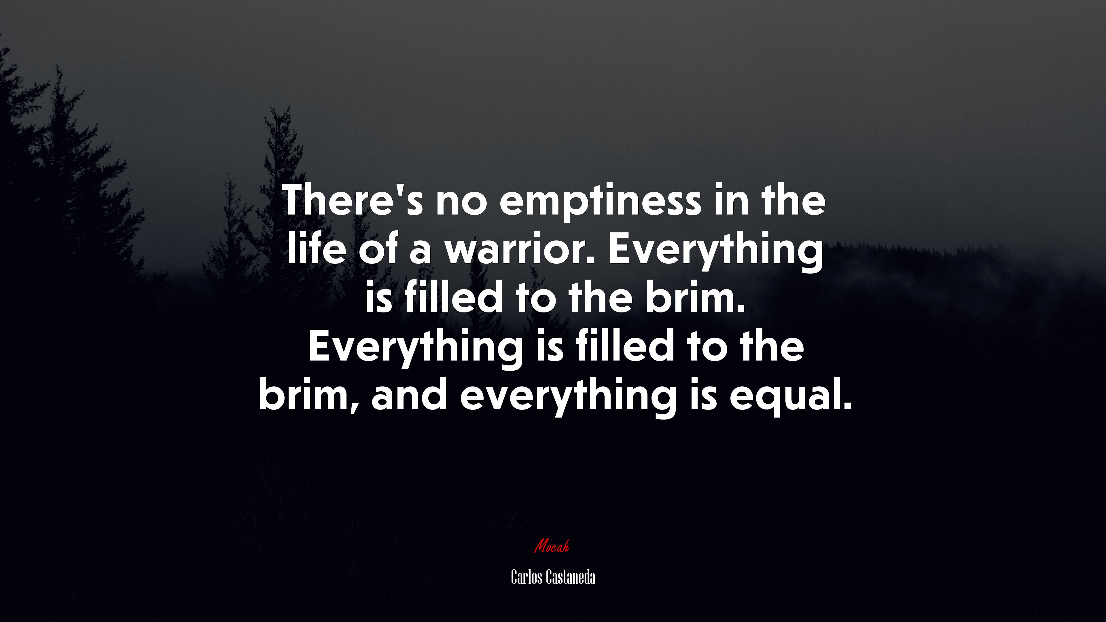 There’s no emptiness in the life of a warrior. Everything is filled to the brim. Everything is filled to the brim, and everything is equal. | Carlos Castaneda quote HD Wallpaper