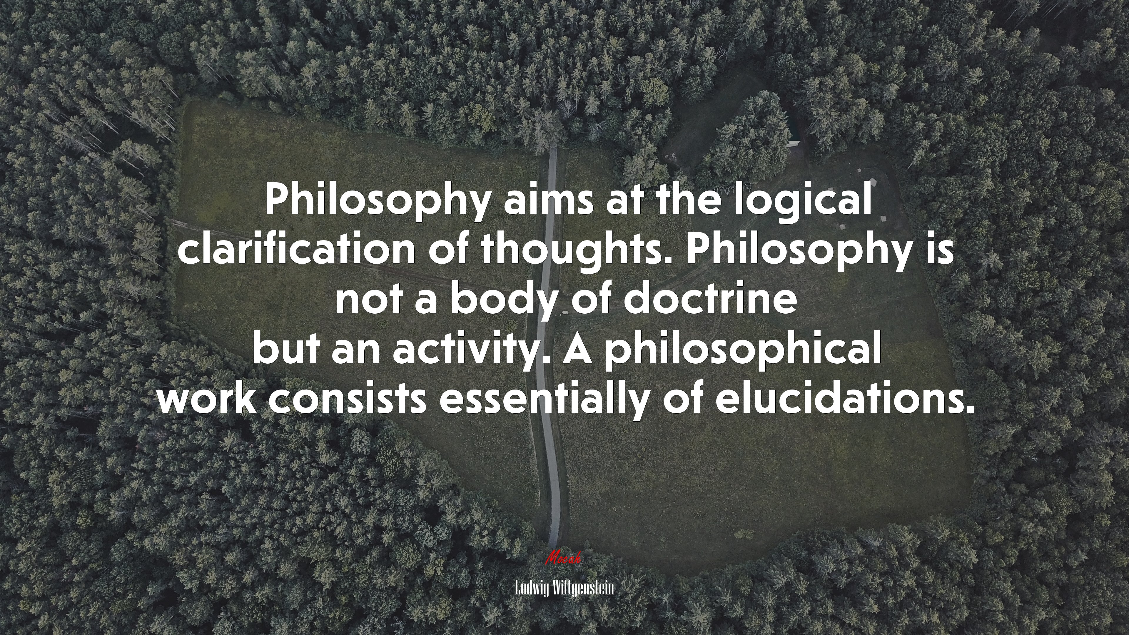 Philosophy aims at the logical clarification of thoughts. Philosophy is not a body of doctrine but an activity. A philosophical work consists essentially of elucidations. | Ludwig Wittgenstein quote HD Wallpaper