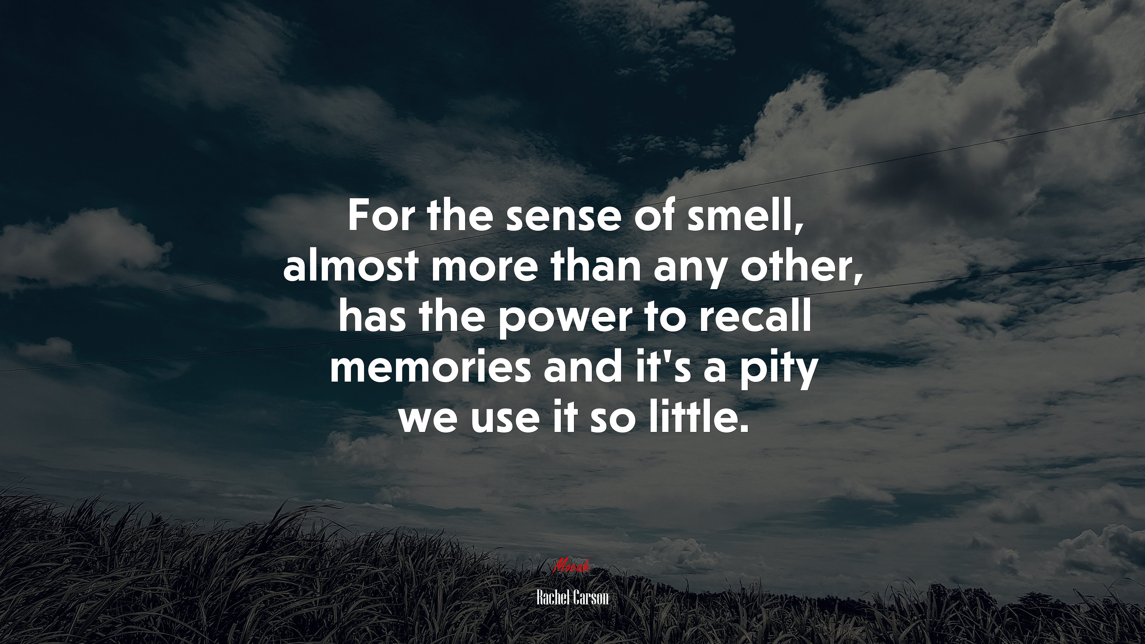 For the sense of smell, almost more than any other, has the power to recall memories and it’s a pity we use it so little. | Rachel Carson quote HD Wallpaper