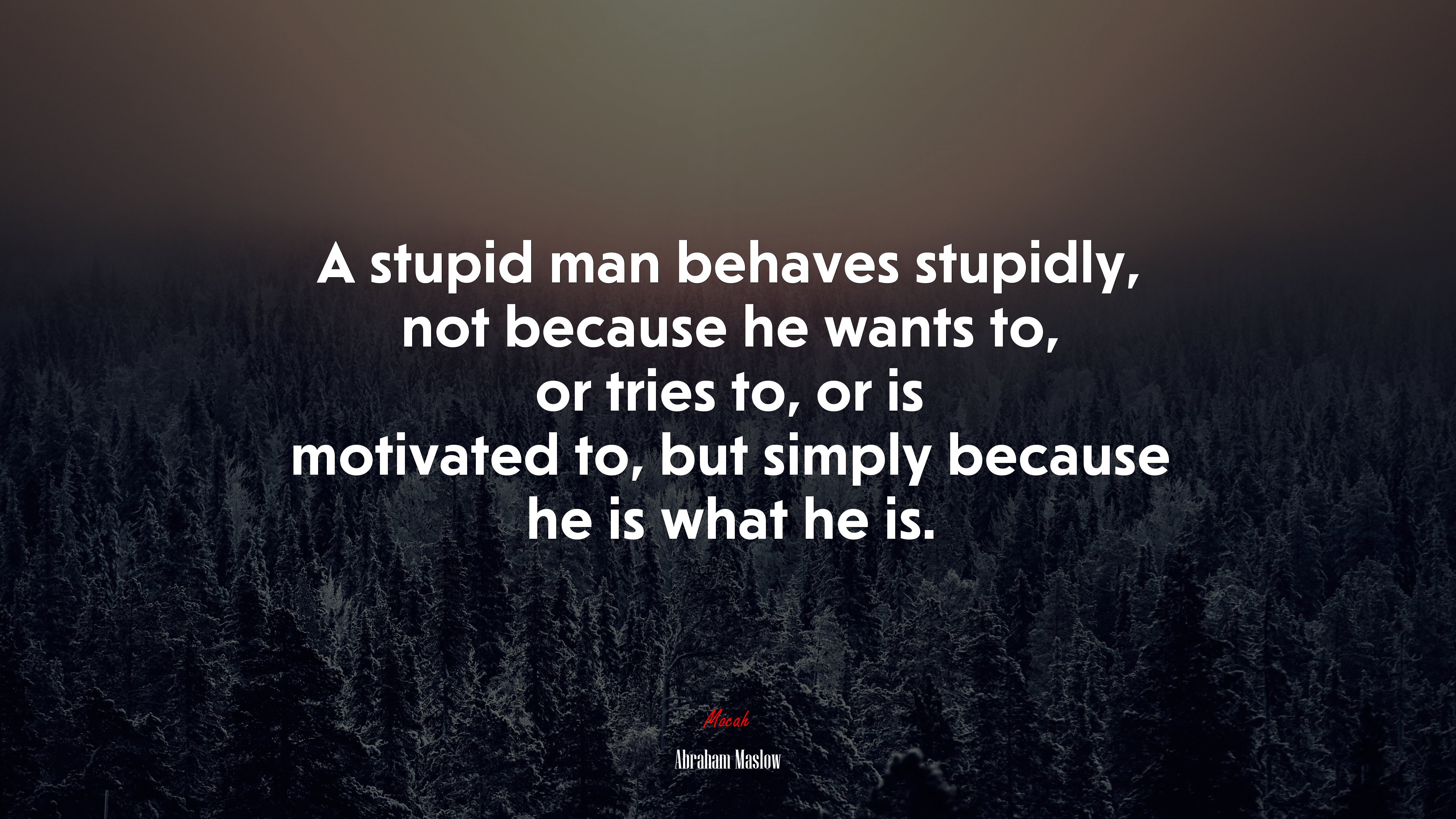 A stupid man behaves stupidly, not because he wants to, or tries to, or is motivated to, but simply because he is what he is. | Abraham Maslow quote HD Wallpaper
