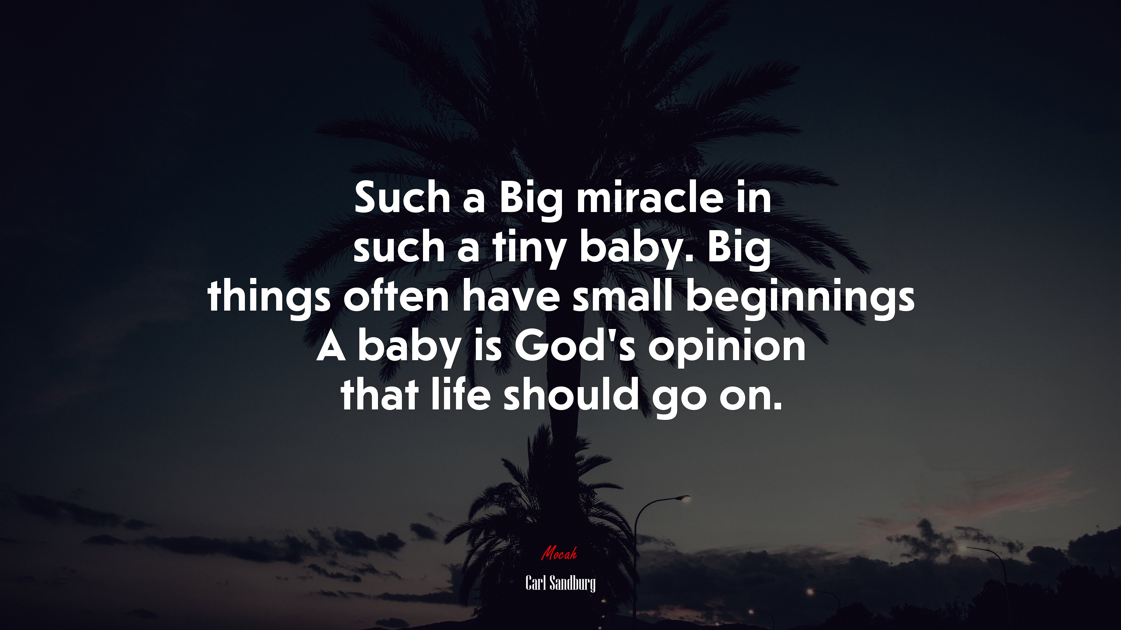 Such a Big miracle in such a tiny baby. Big things often have small beginnings A baby is God’s opinion that life should go on. | Carl Sandburg quote HD Wallpaper