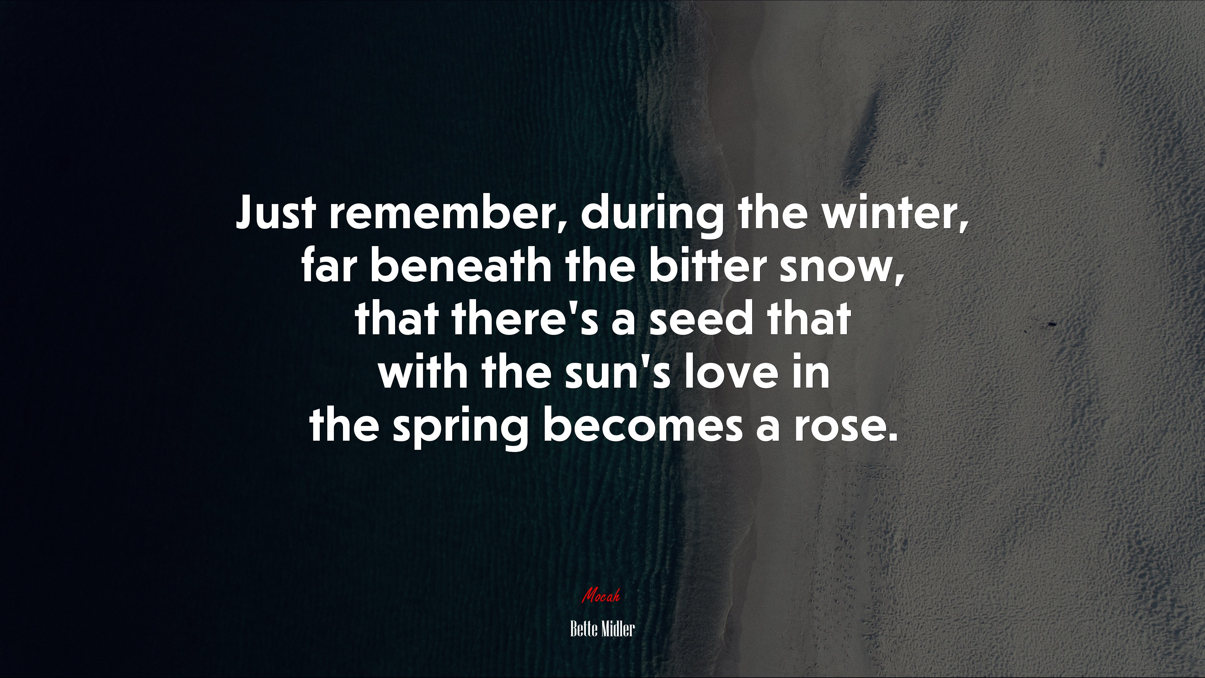 Just remember, during the winter, far beneath the bitter snow, that there’s a seed that with the sun’s love in the spring becomes a rose. | Bette Midler quote HD Wallpaper