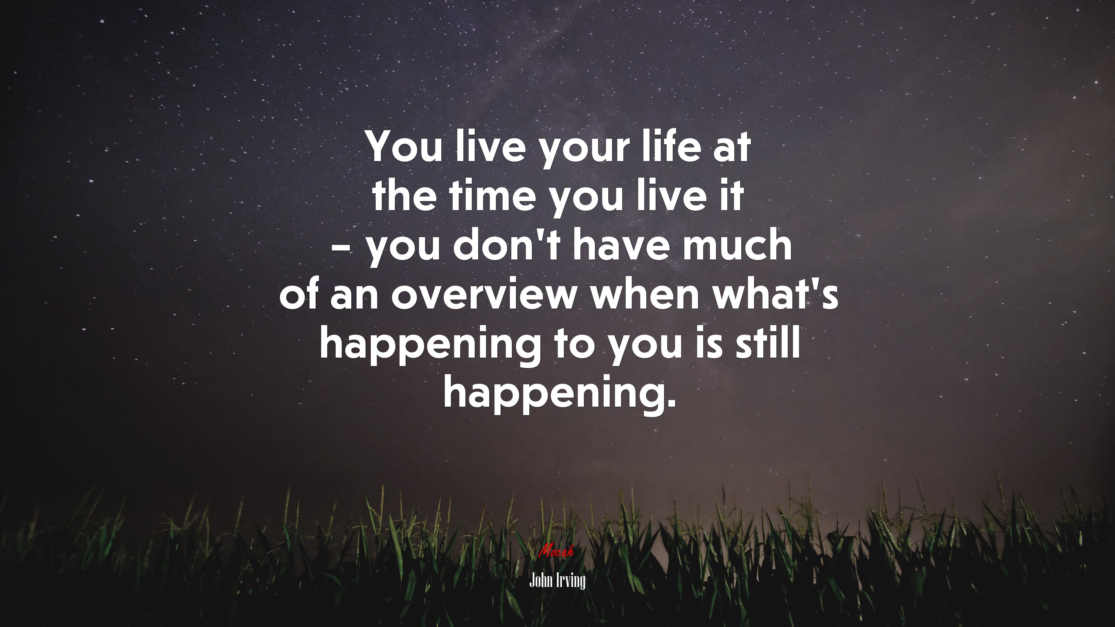 You live your life at the time you live it – you don’t have much of an overview when what’s happening to you is still happening. | John Irving quote HD Wallpaper