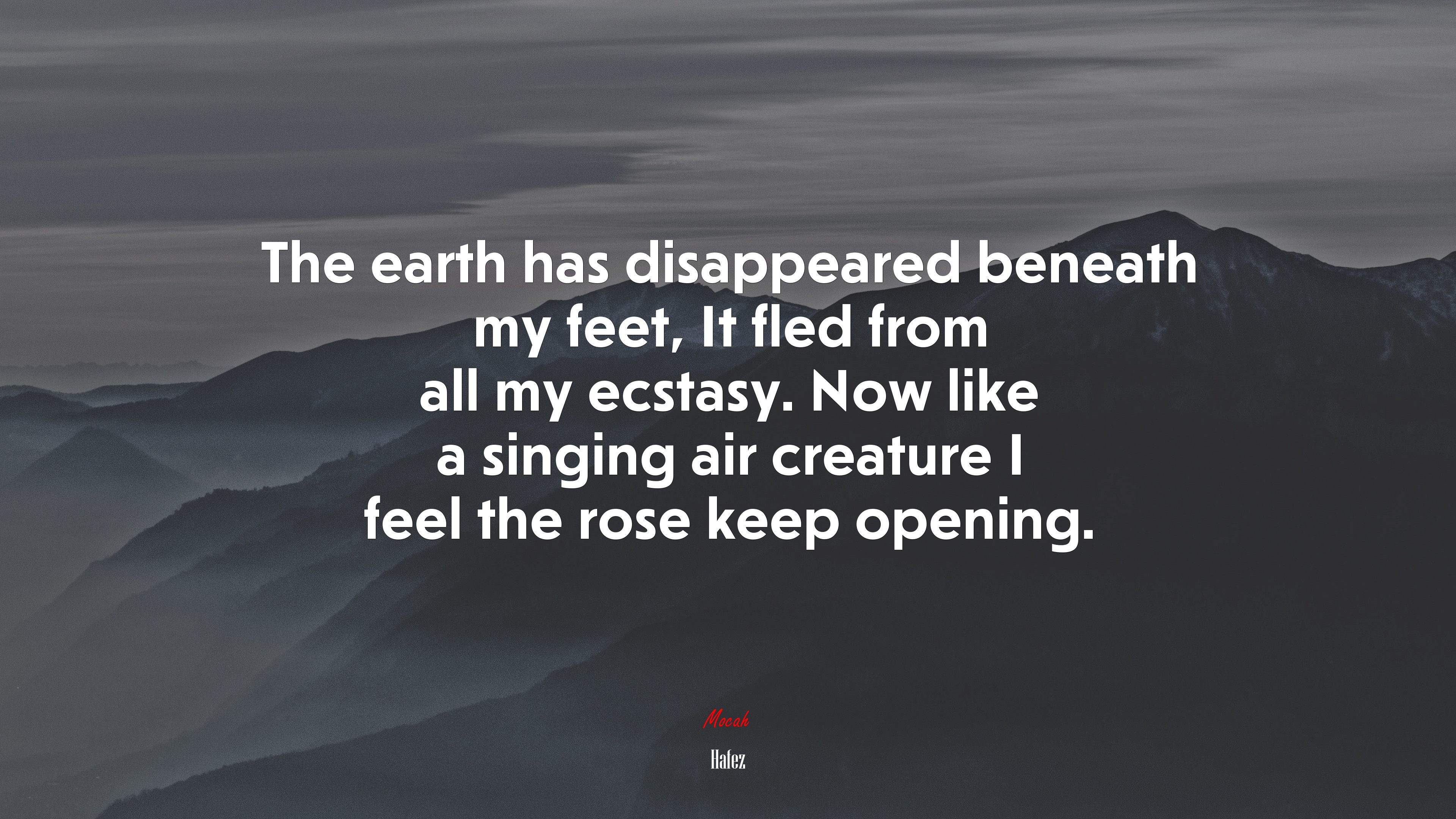 The earth has disappeared beneath my feet, It fled from all my ecstasy. Now like a singing air creature I feel the rose keep opening. | Hafez quote HD Wallpaper